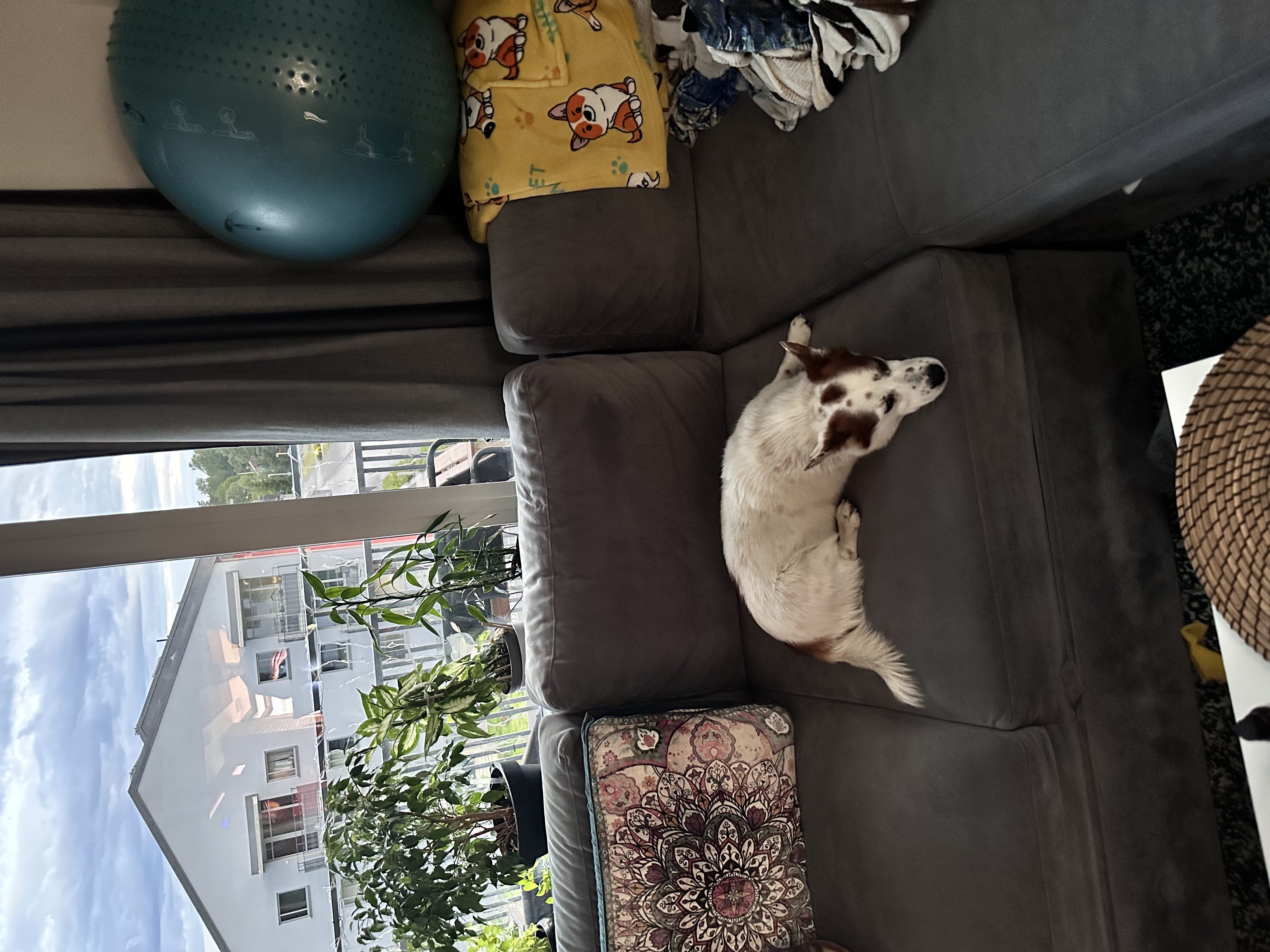 image-15