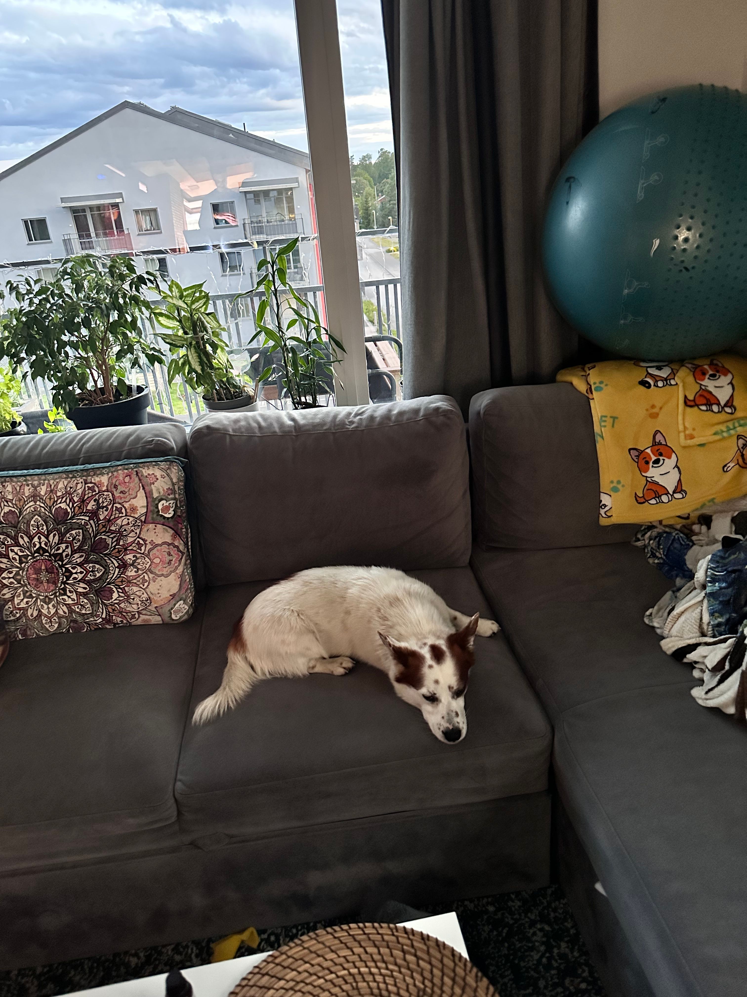 image-15
