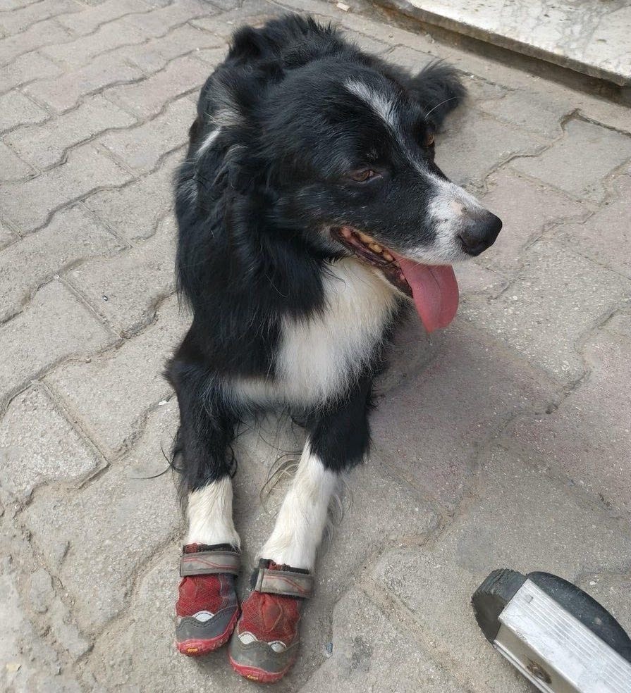 image-16