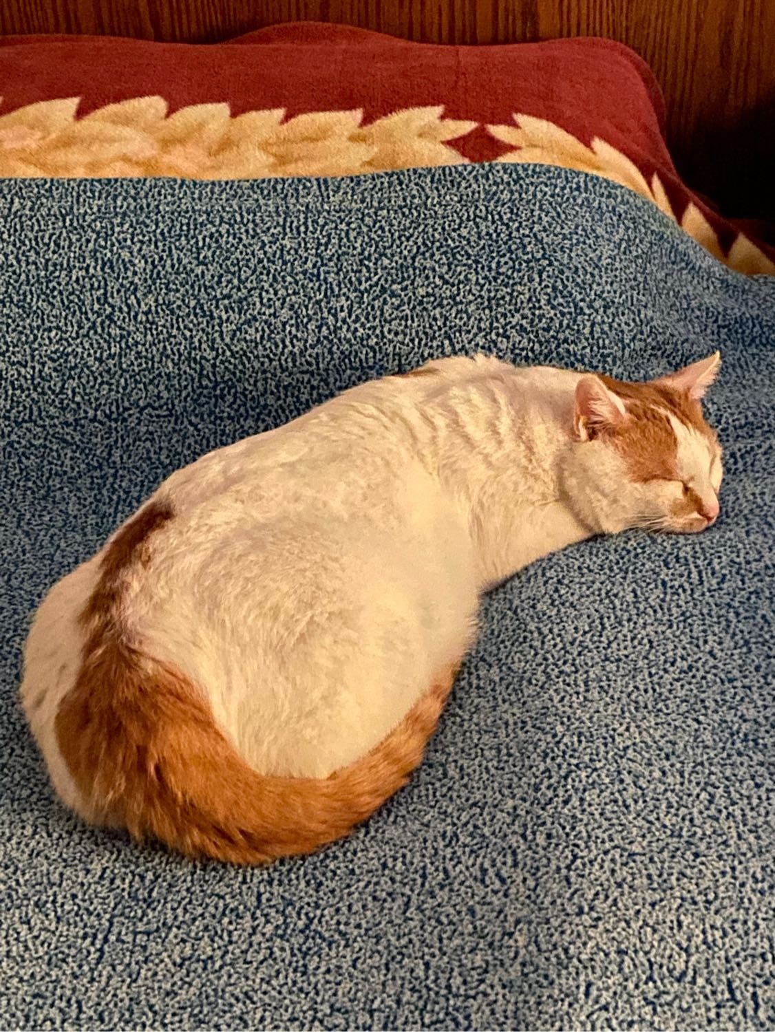 image-6