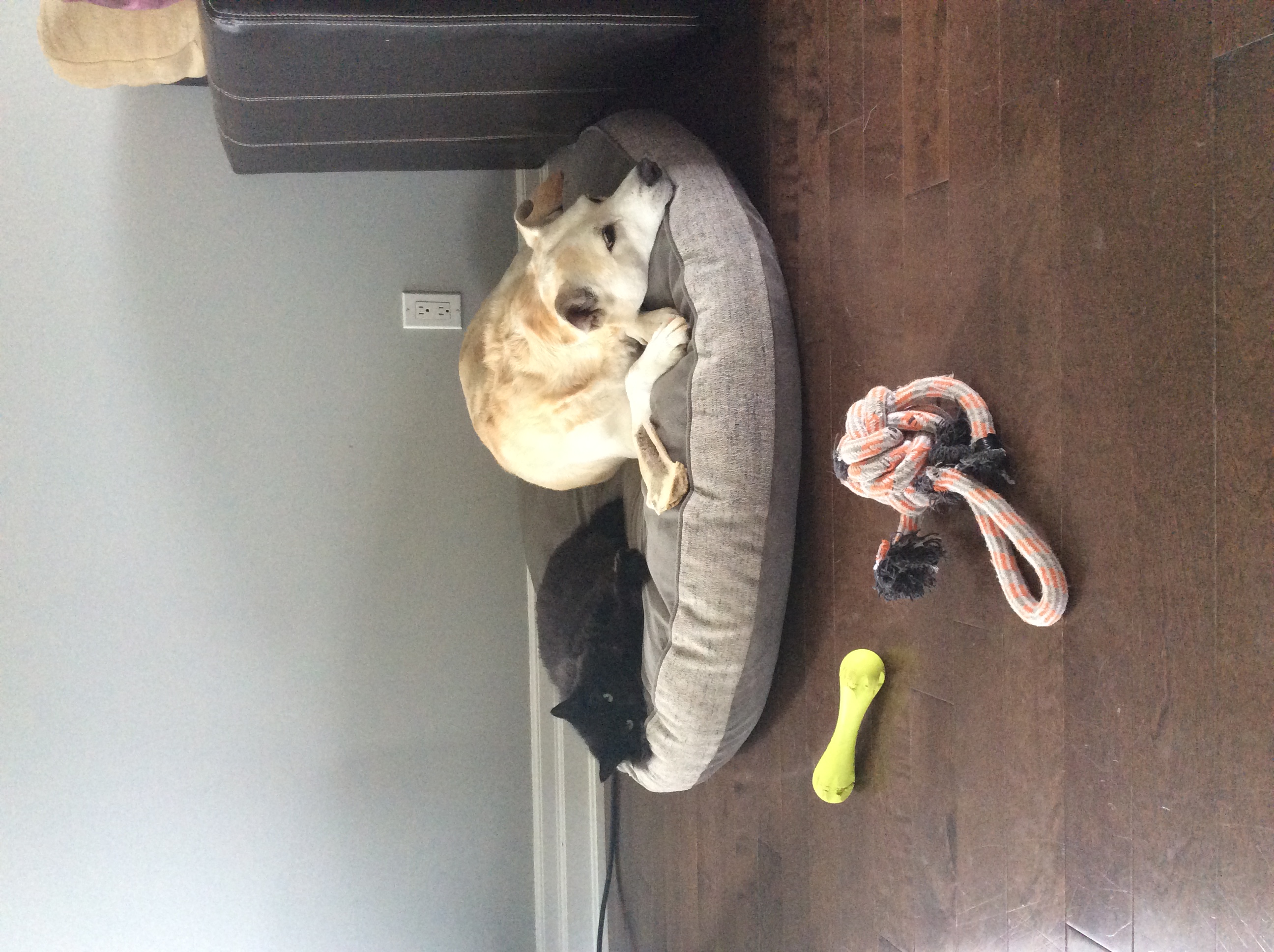 image-6