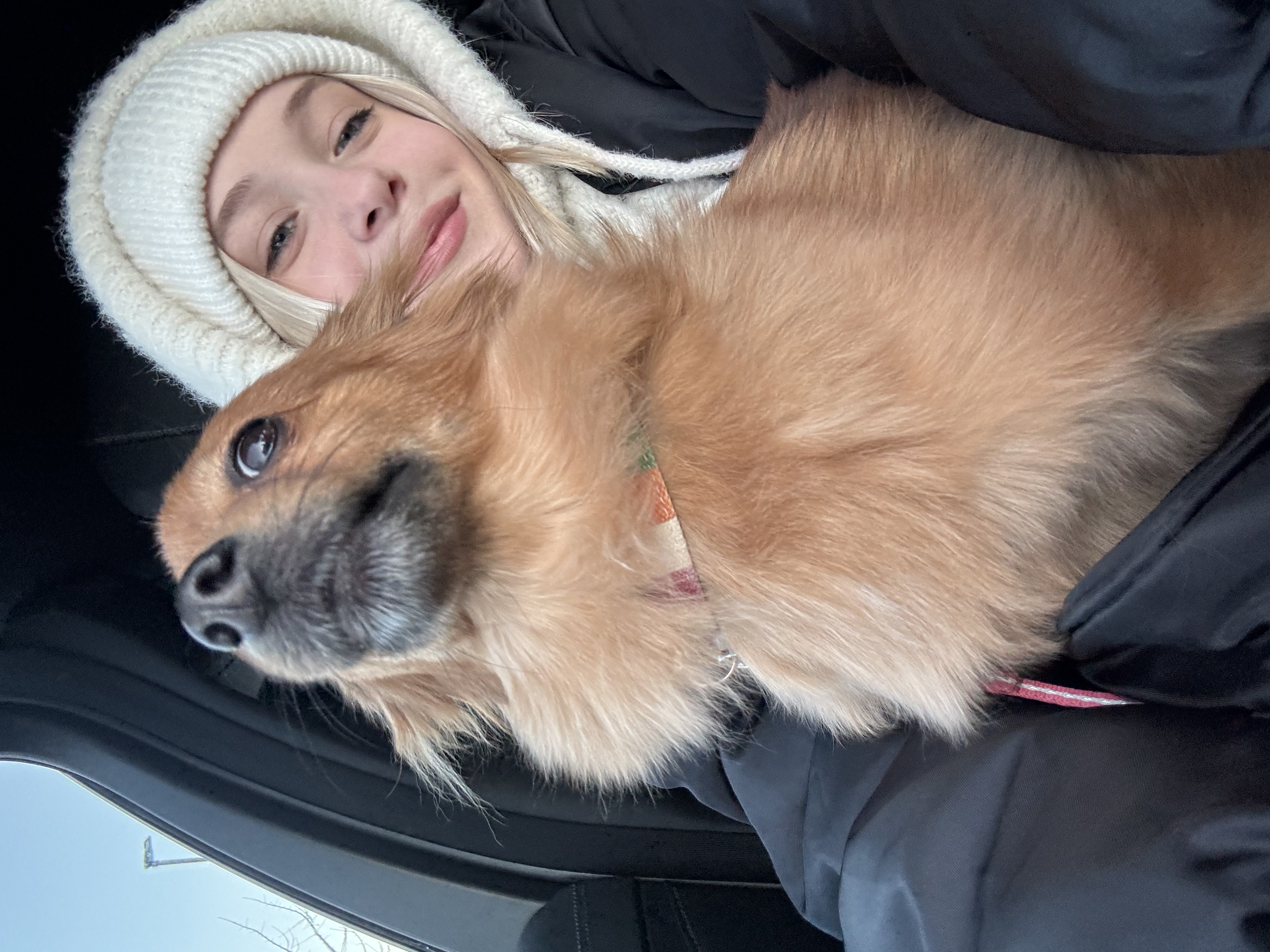 image-11