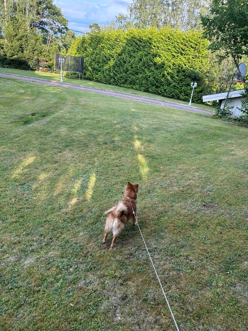 image-33