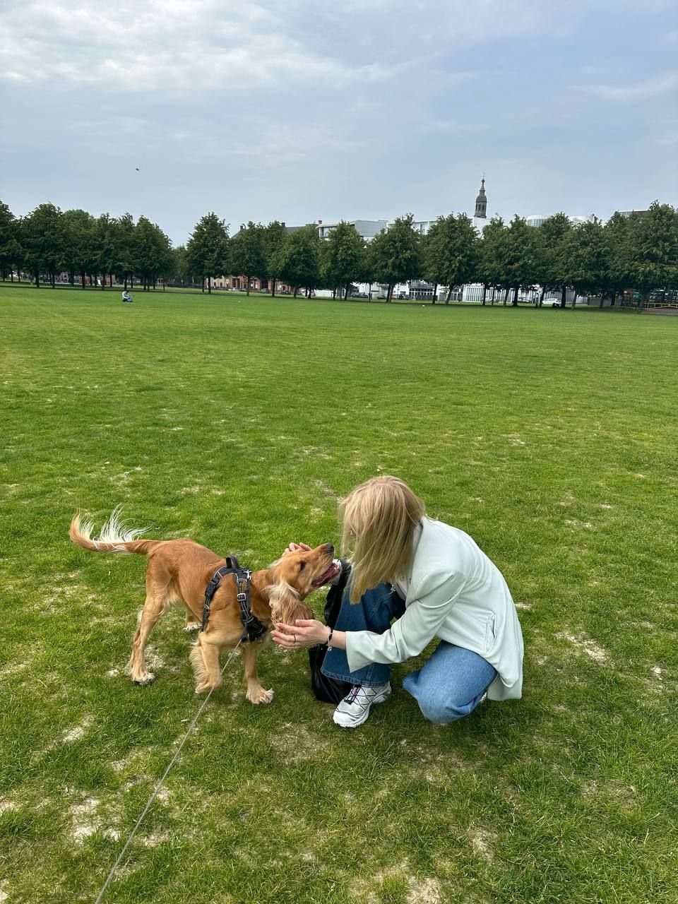 image-20
