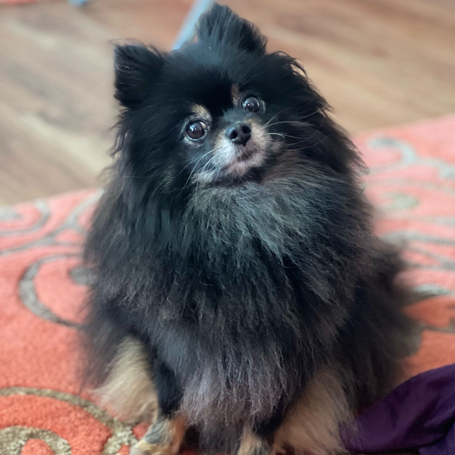 Luna