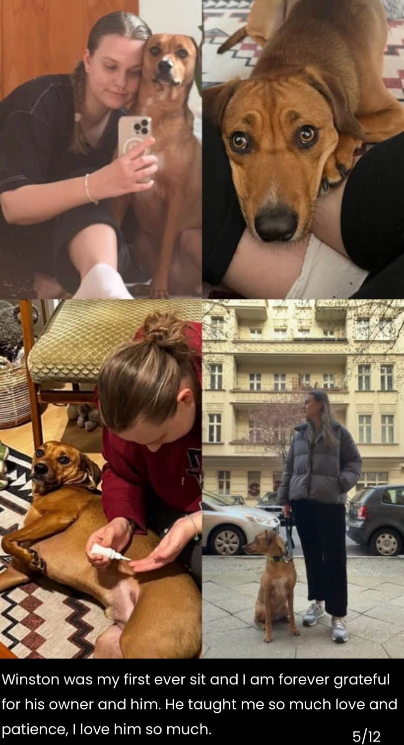 image-2