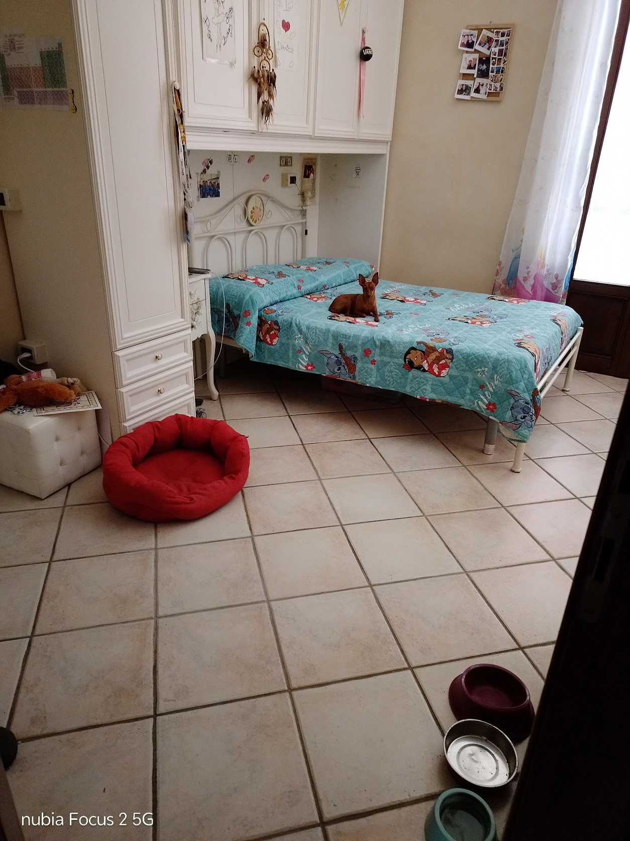 image-8