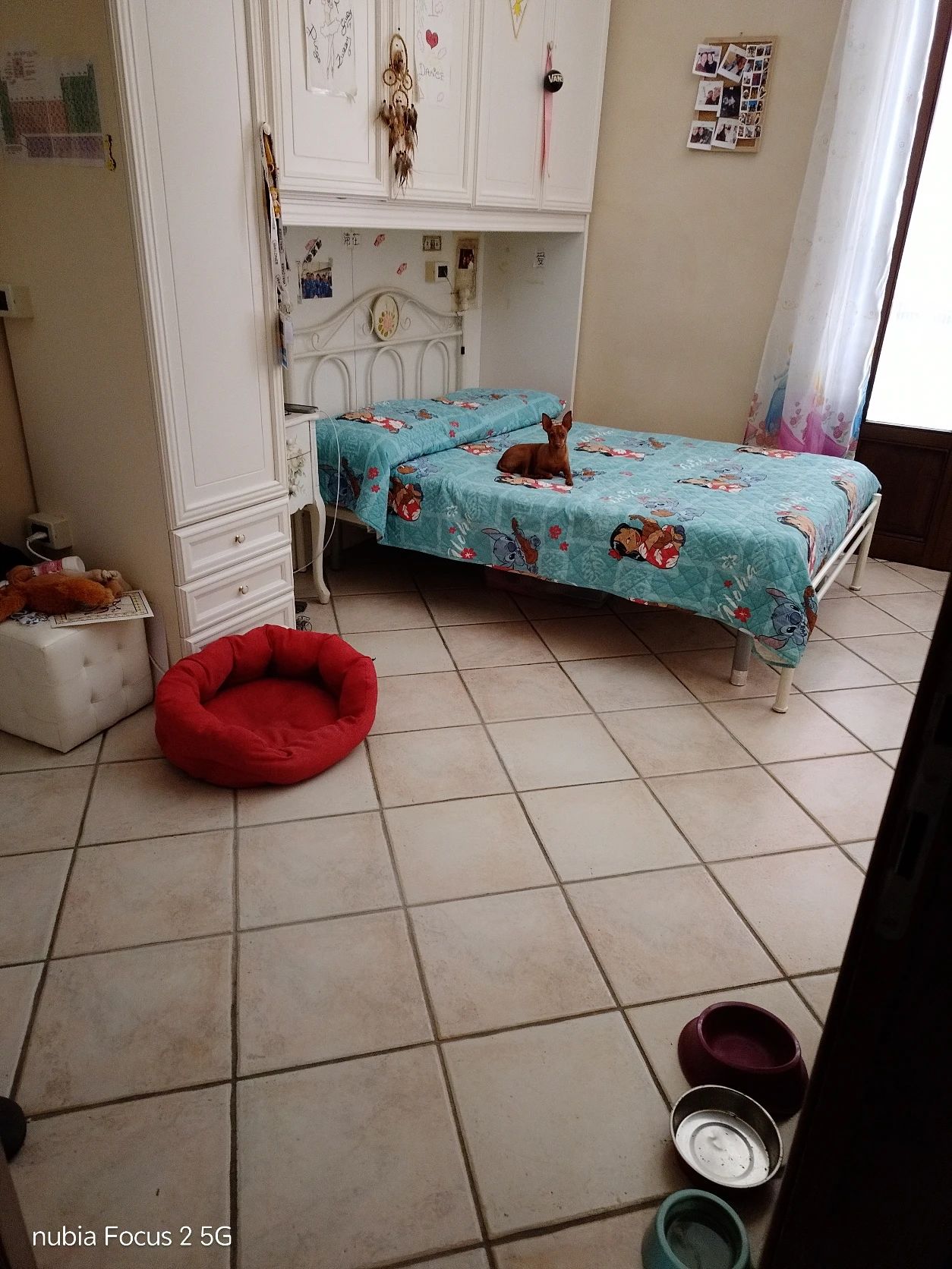 image-8