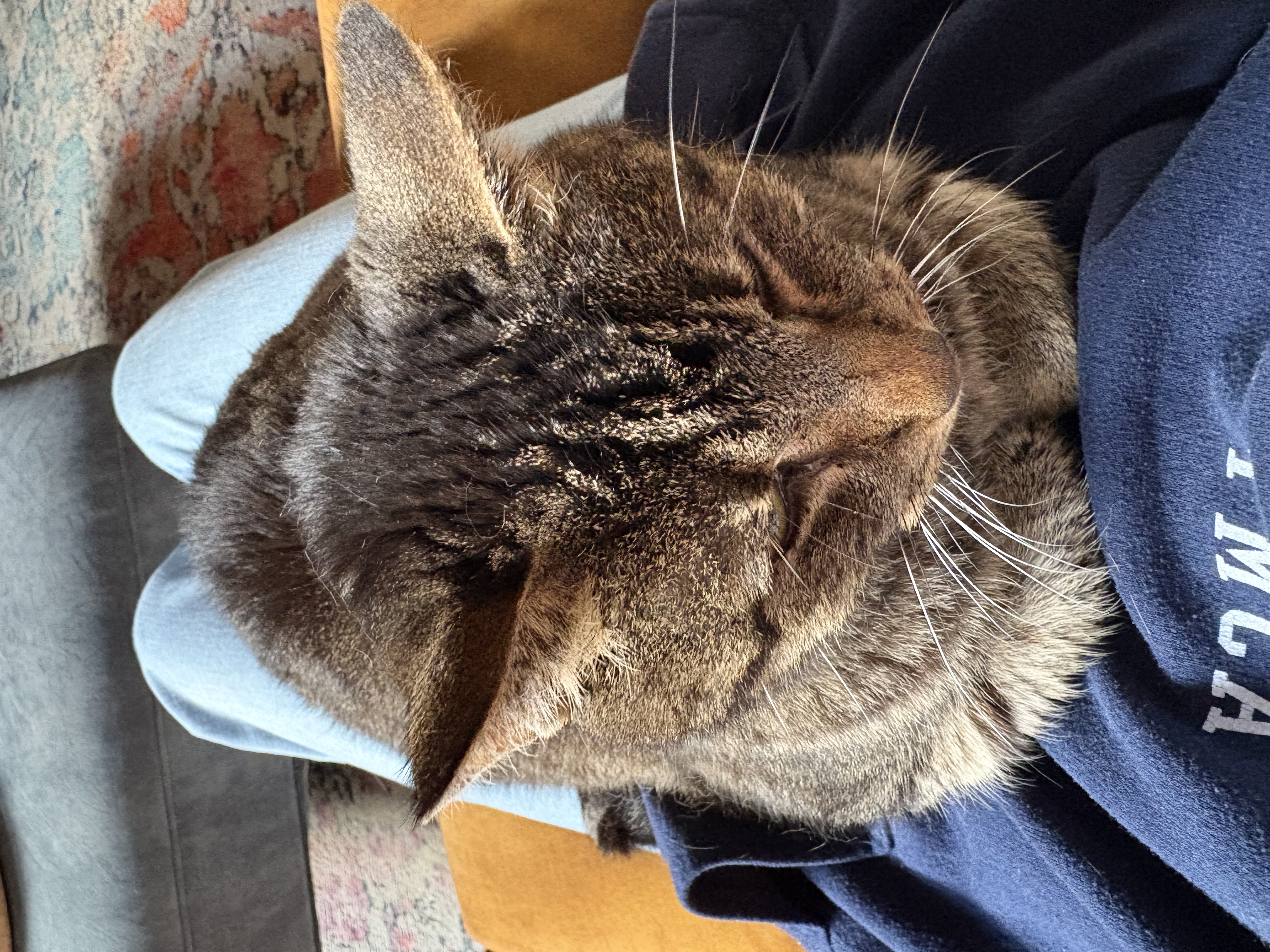 image-6