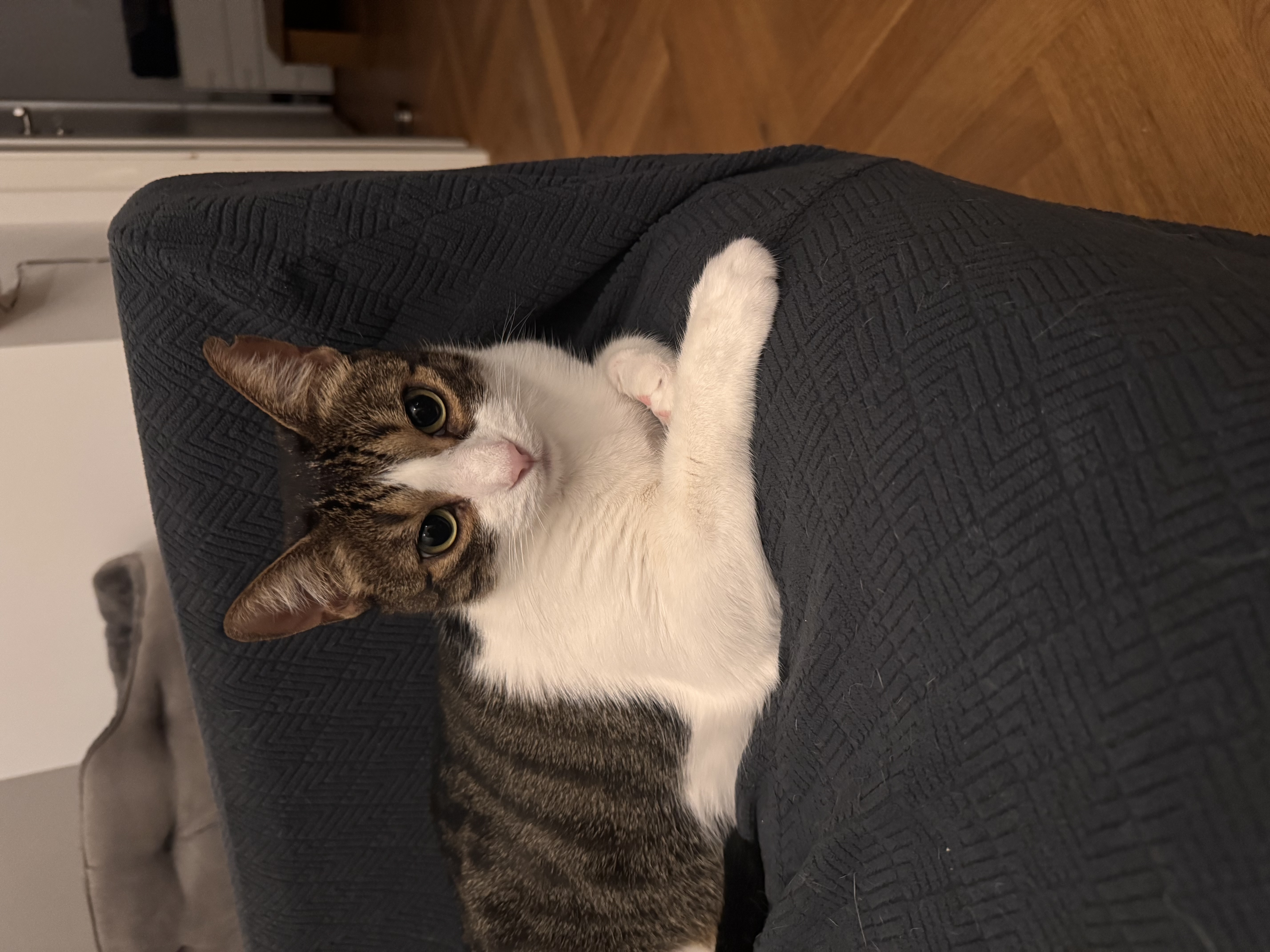 image-11