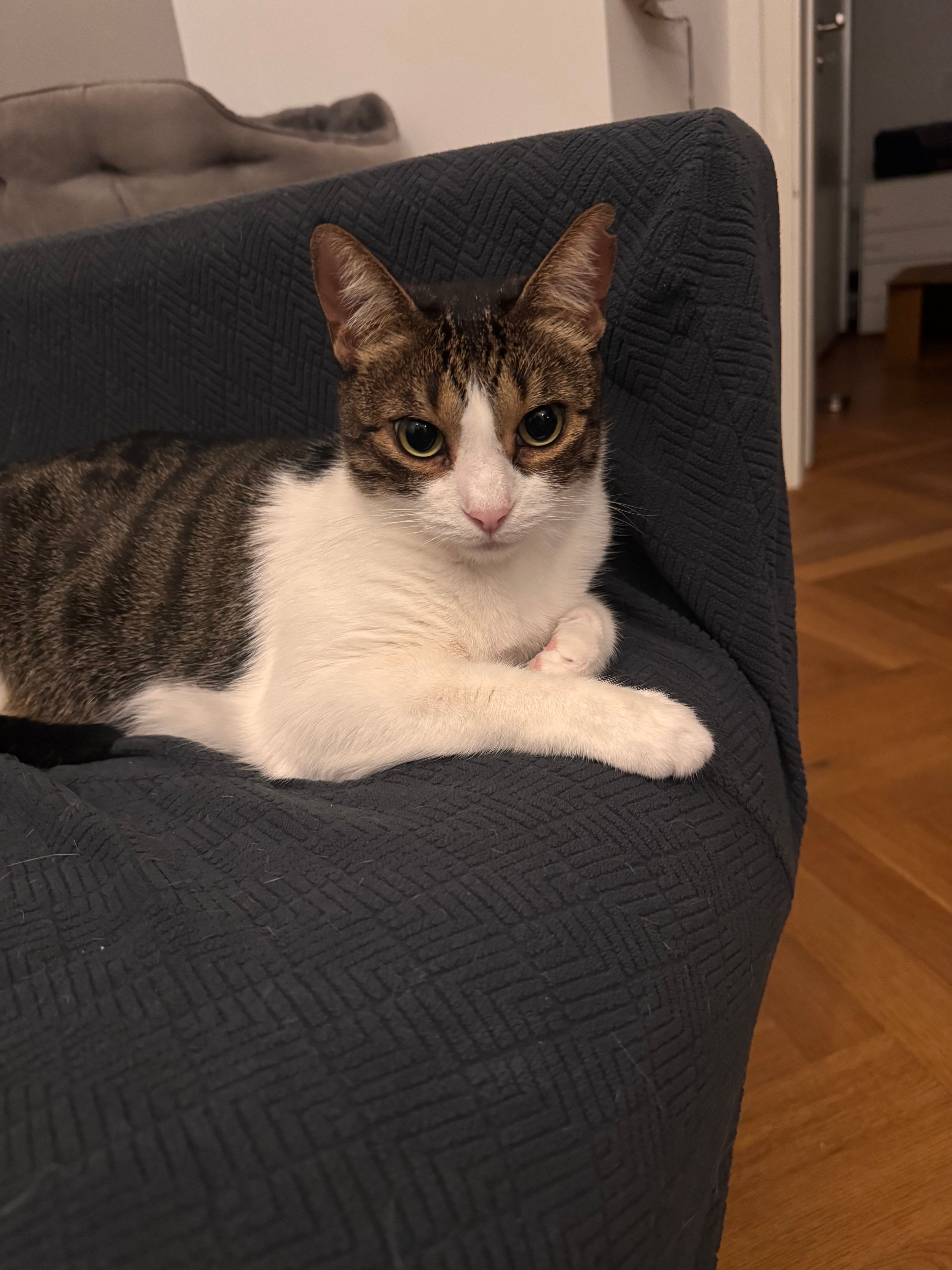 image-11
