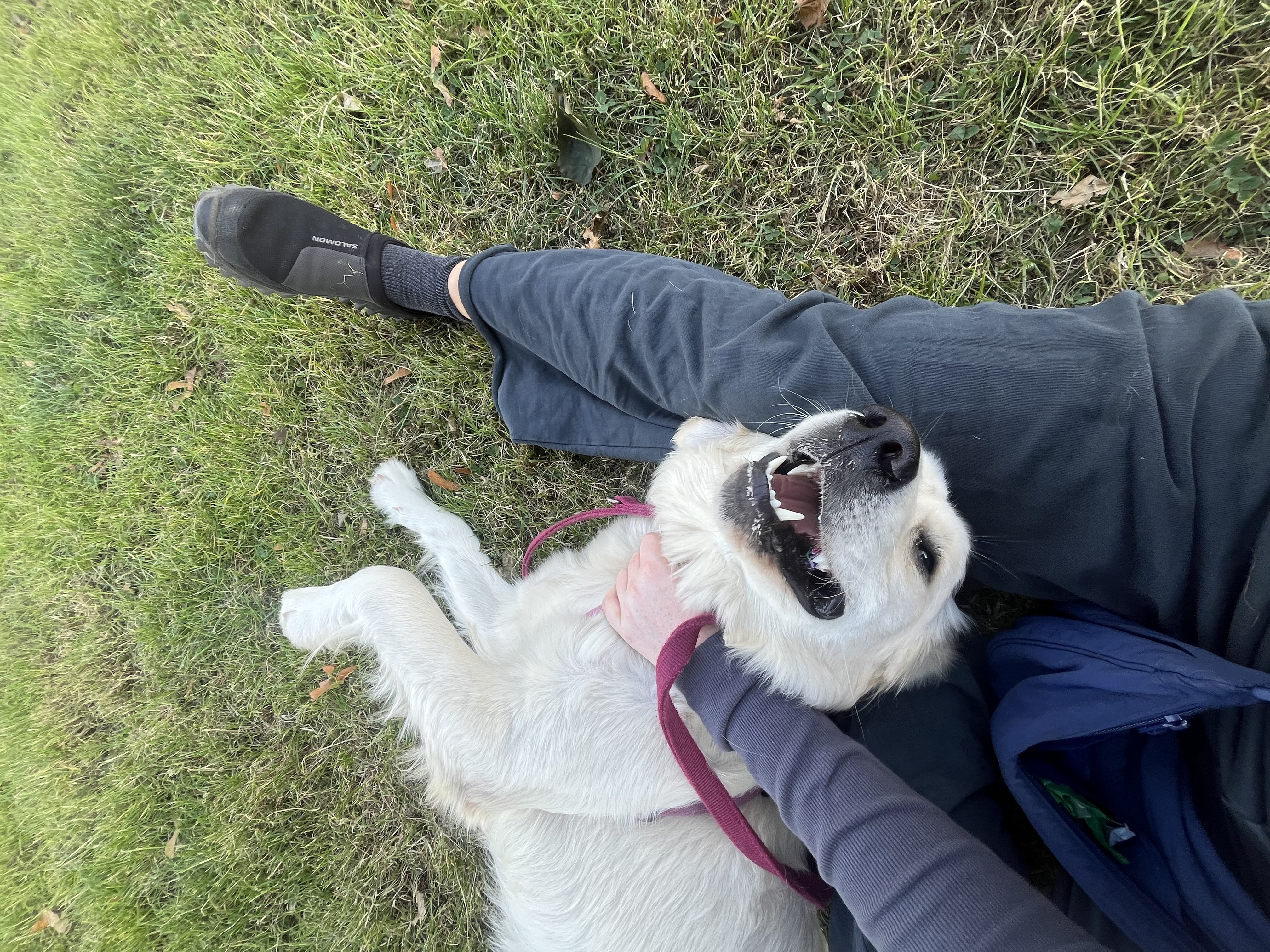 image-8
