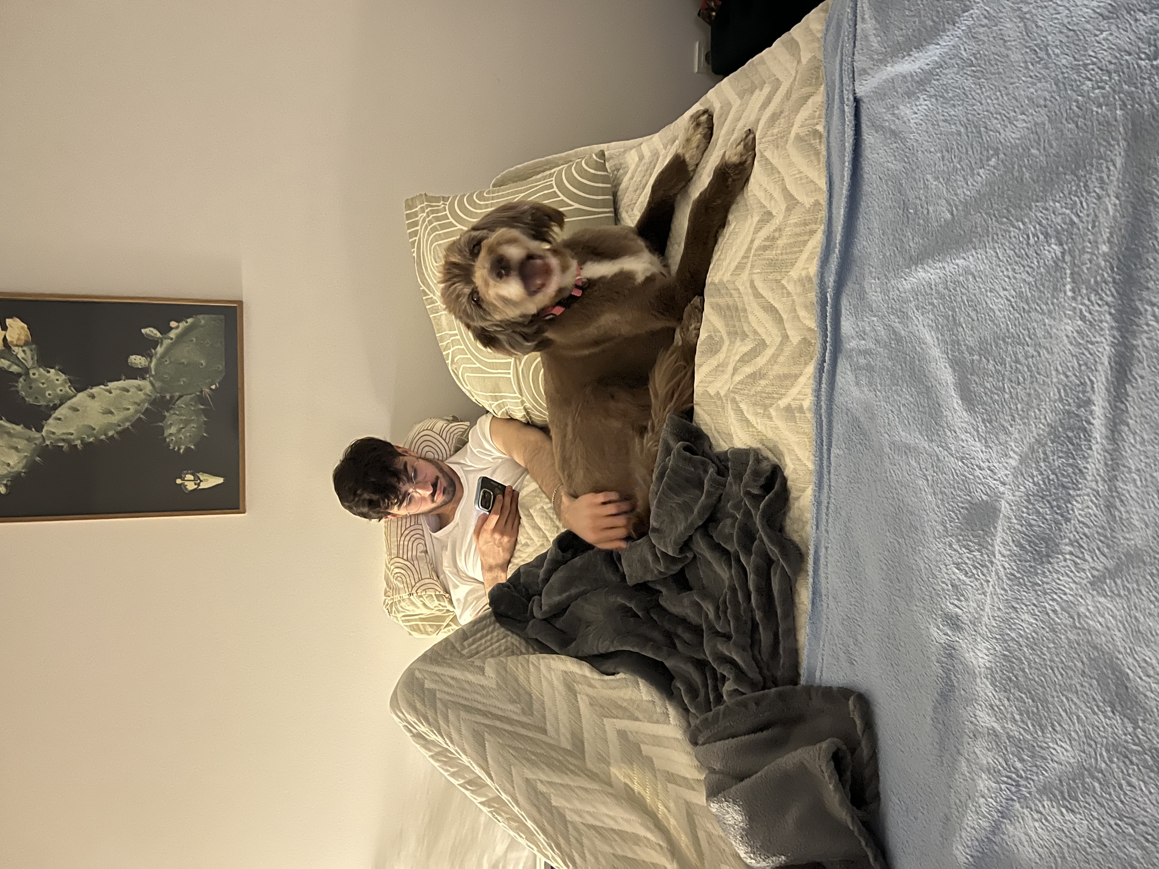 image-5
