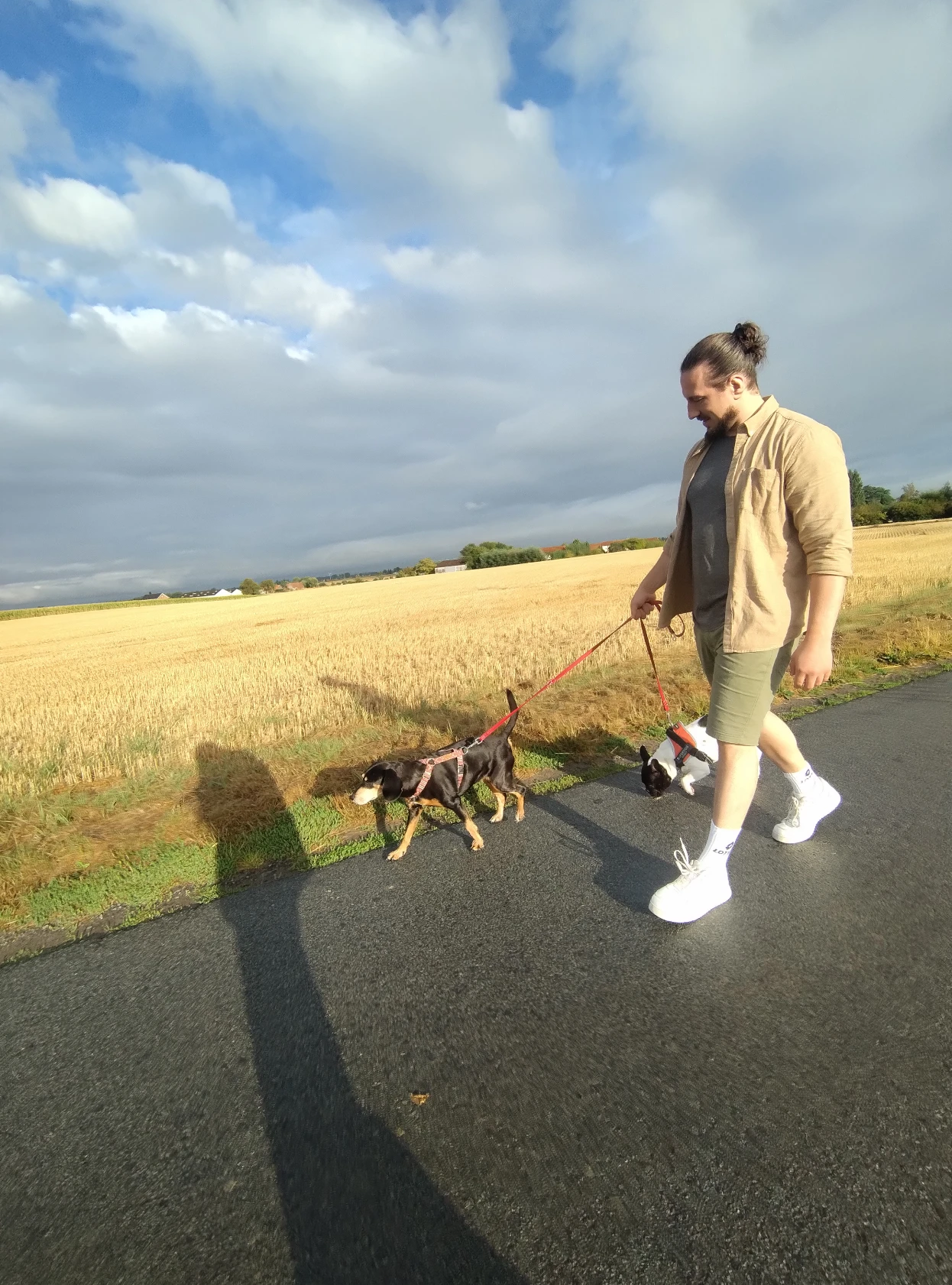 image-5