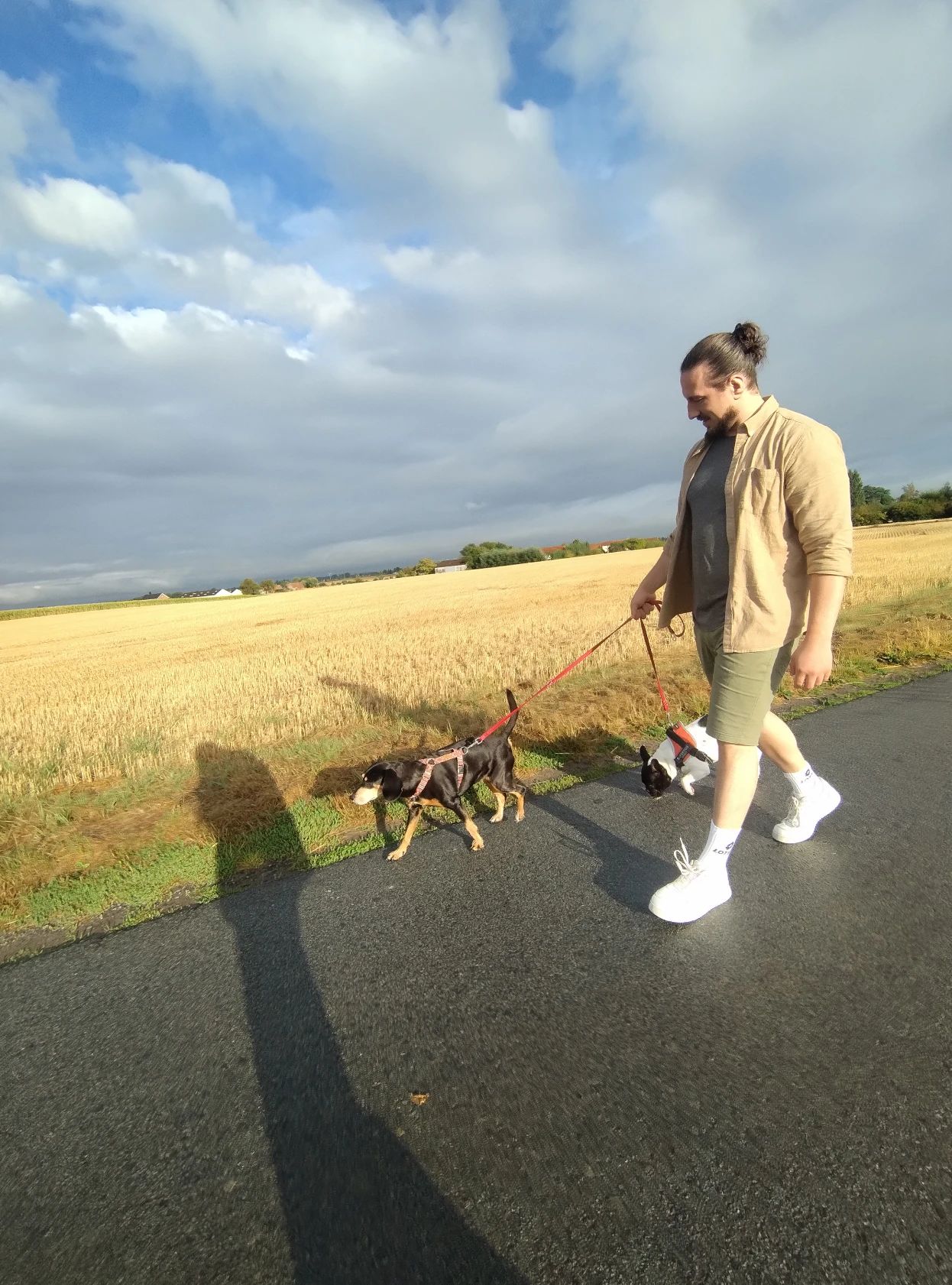 image-5