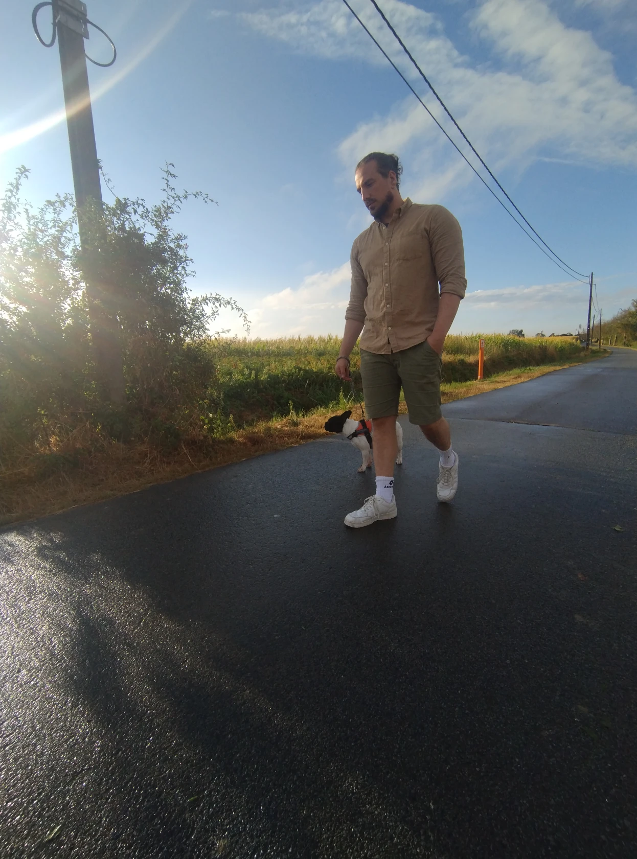 image-11
