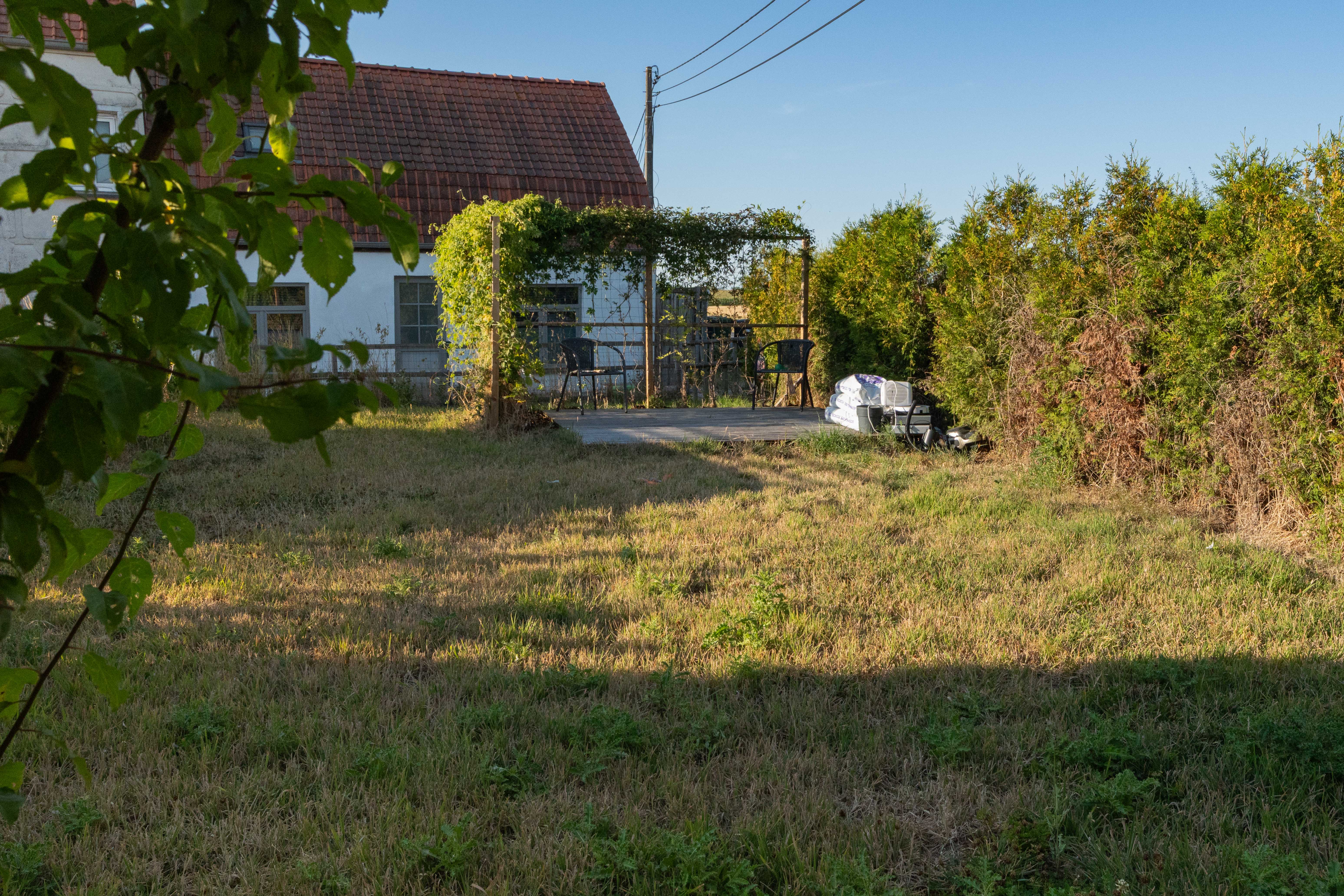 image-21