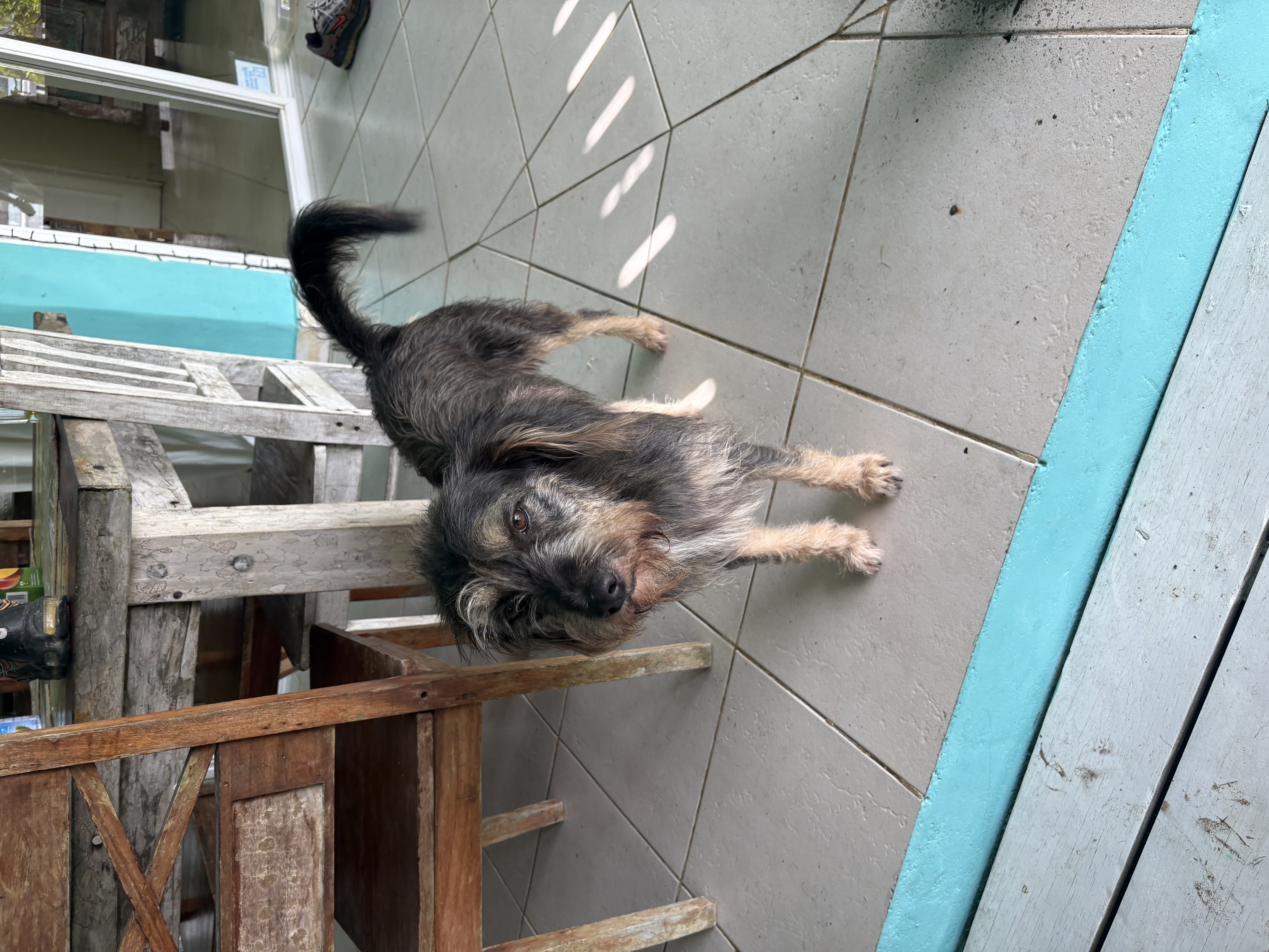 image-8
