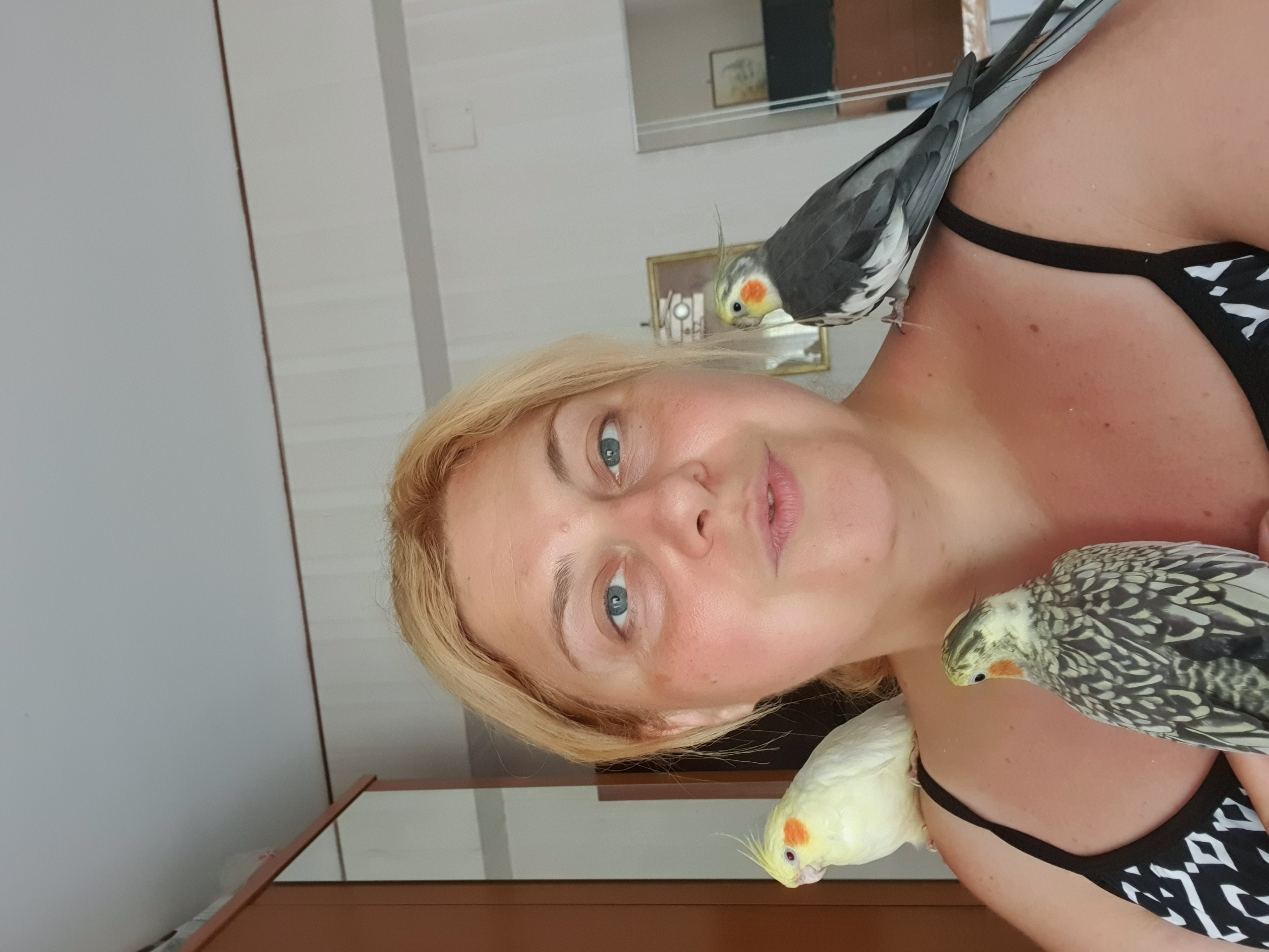 image-6