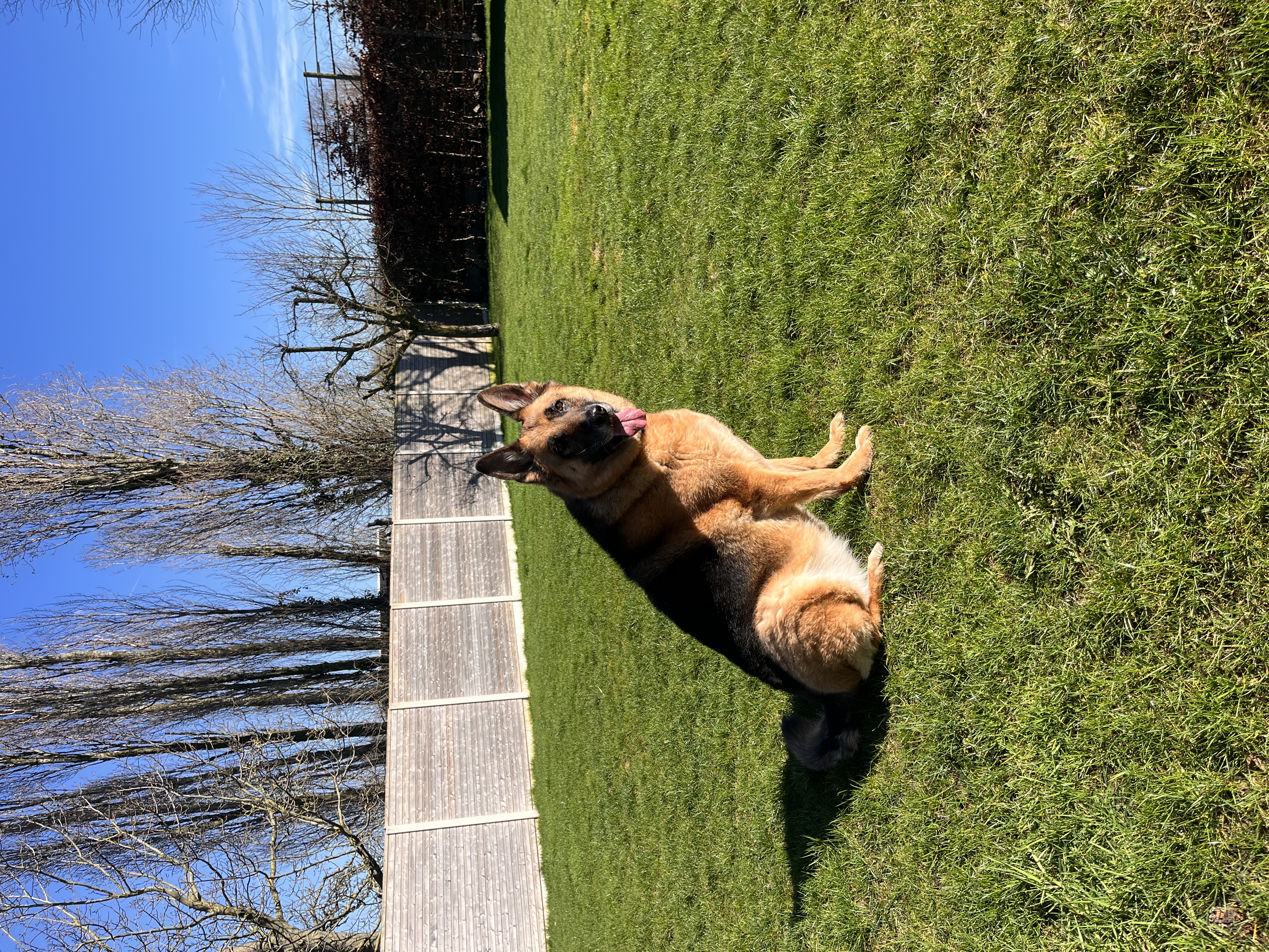 image-4