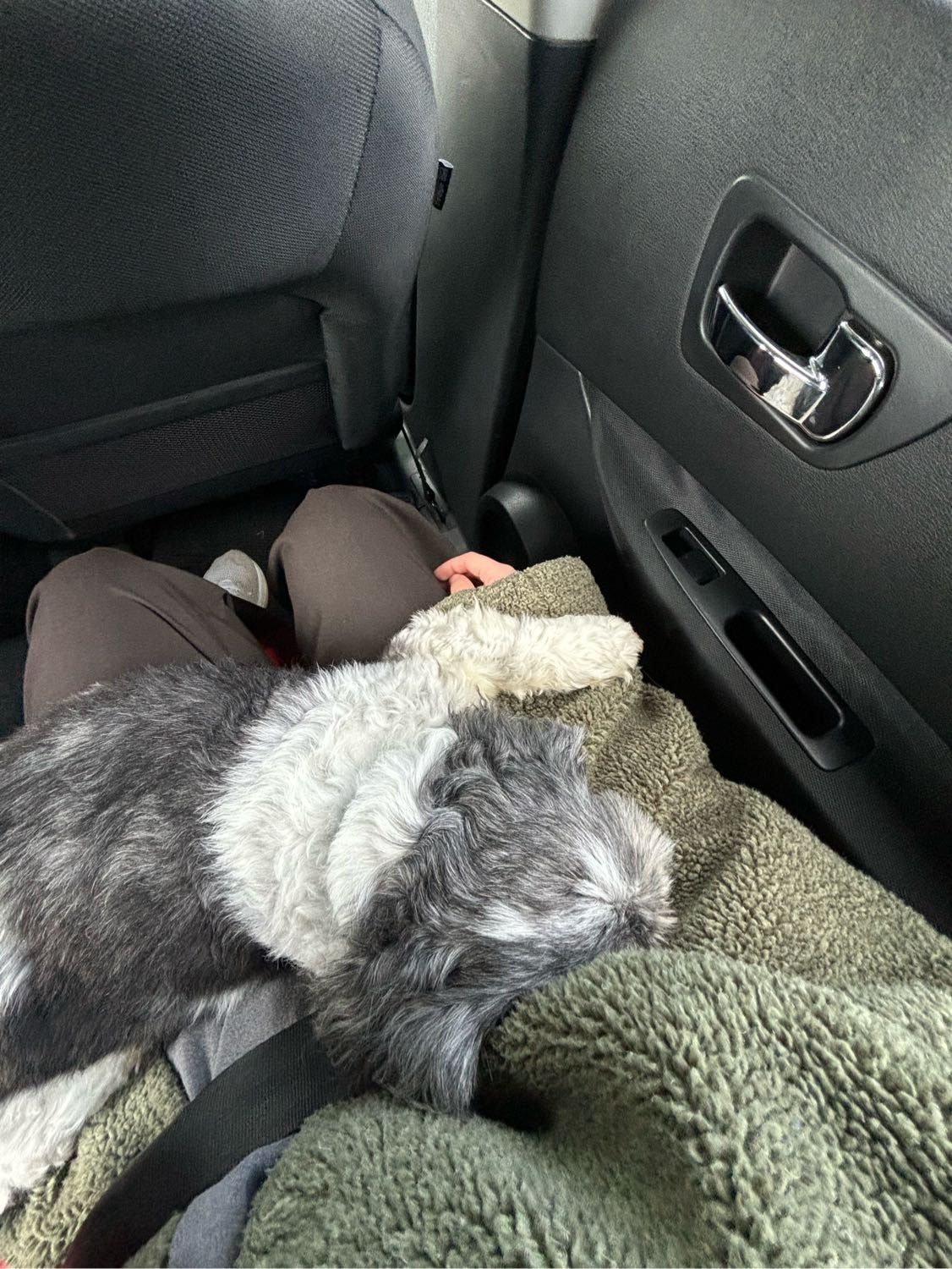 image-8