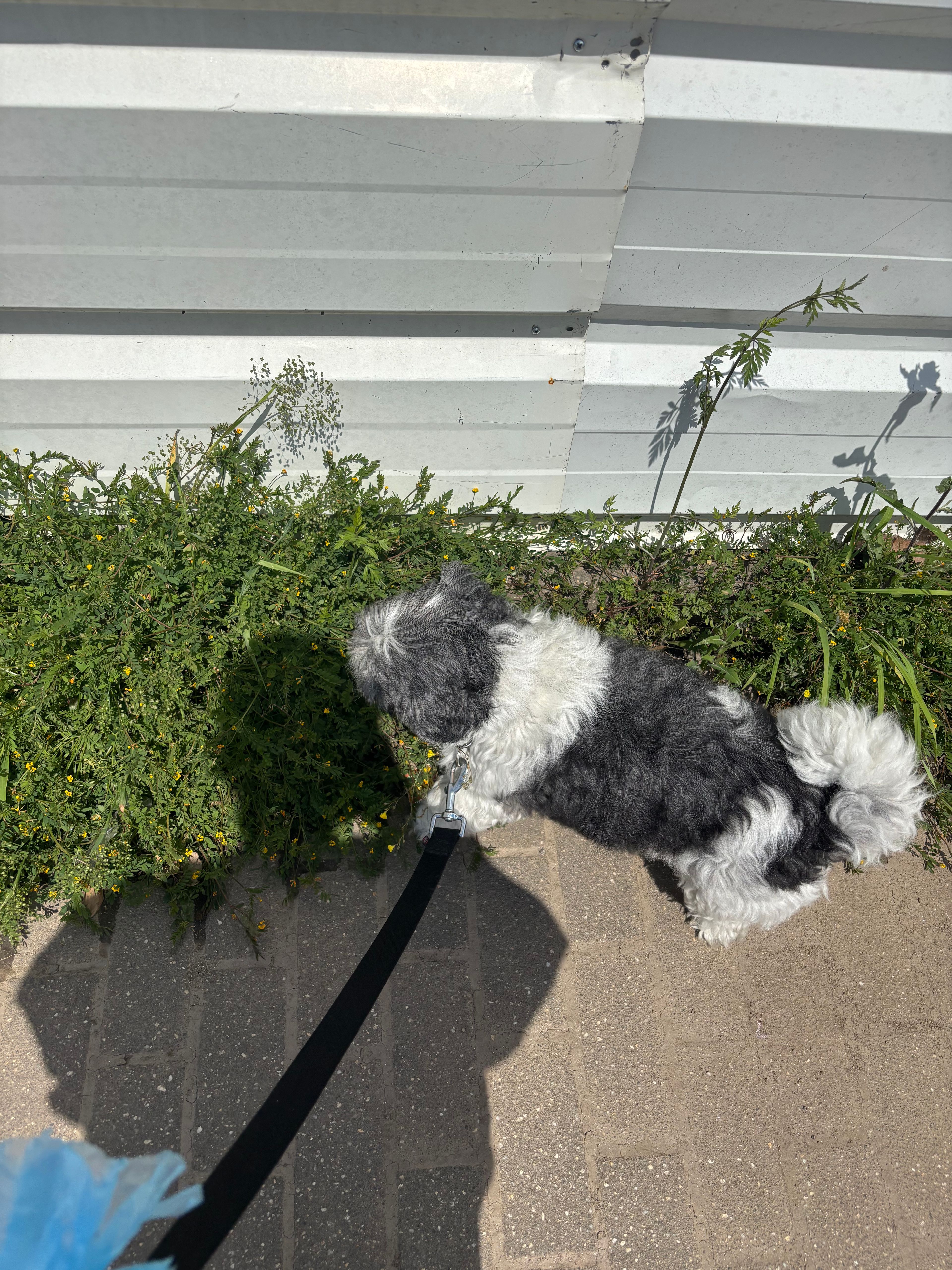 image-12
