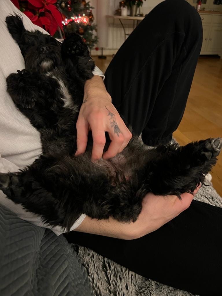 image-6