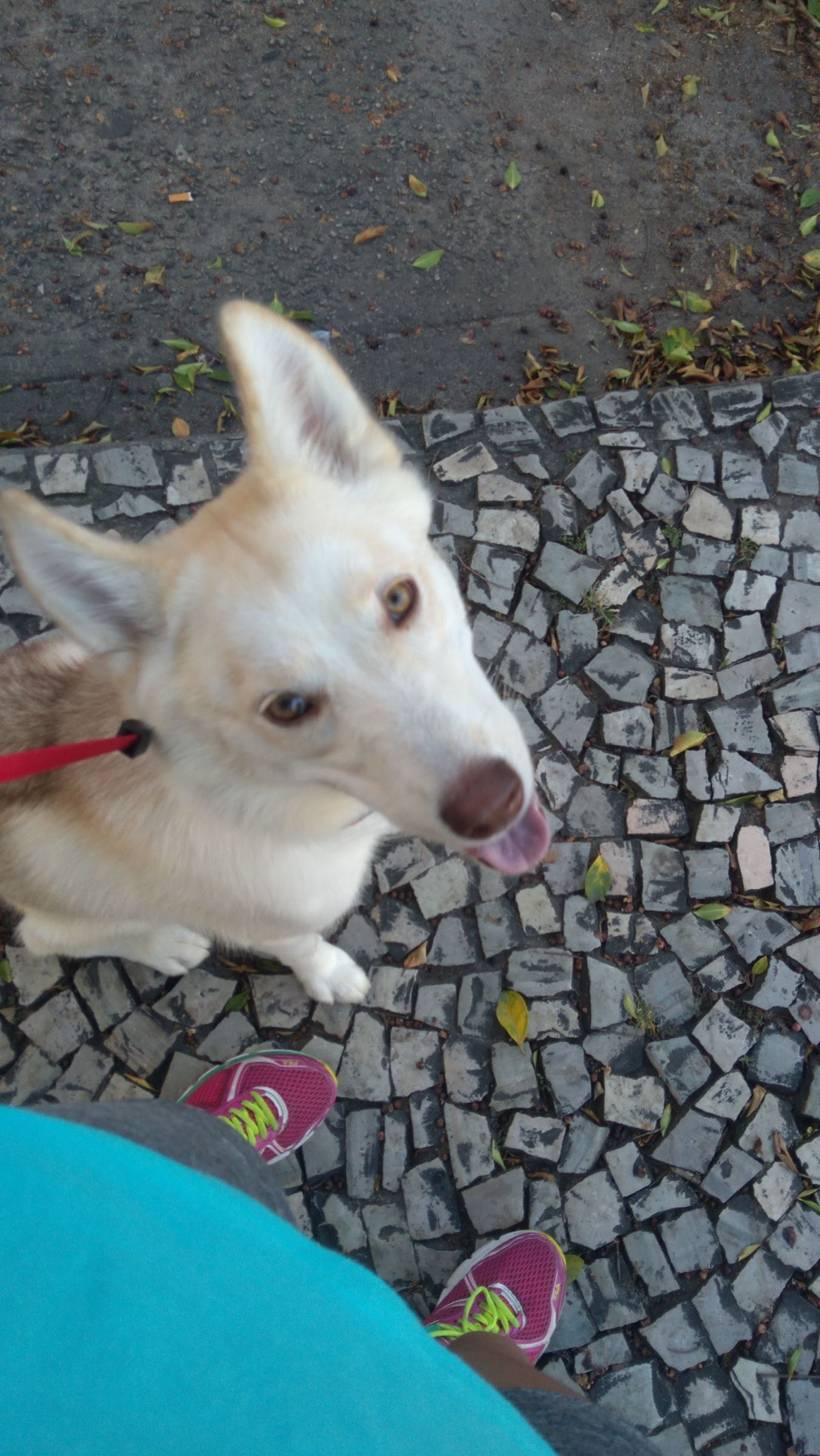 image-6