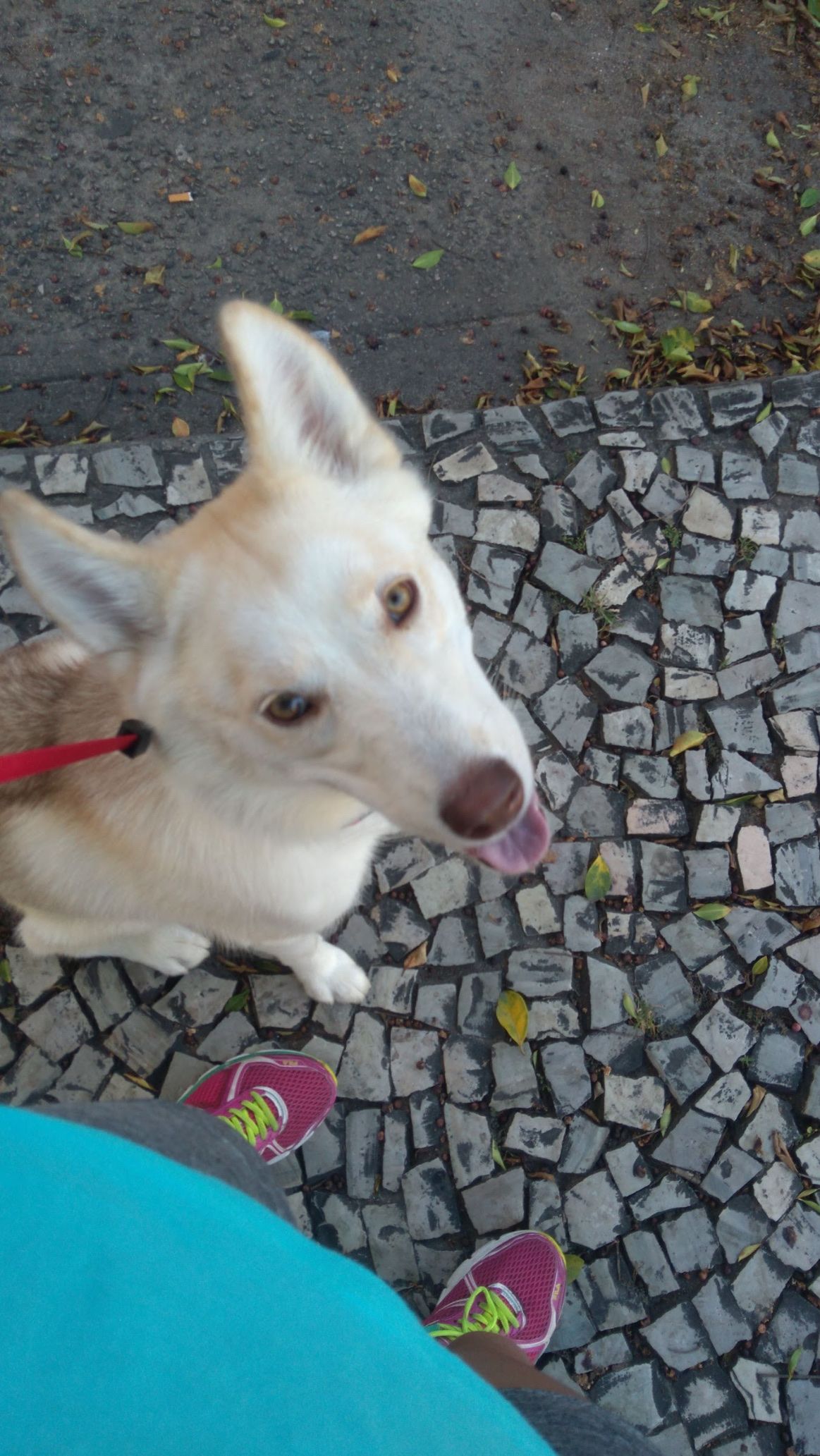 image-6