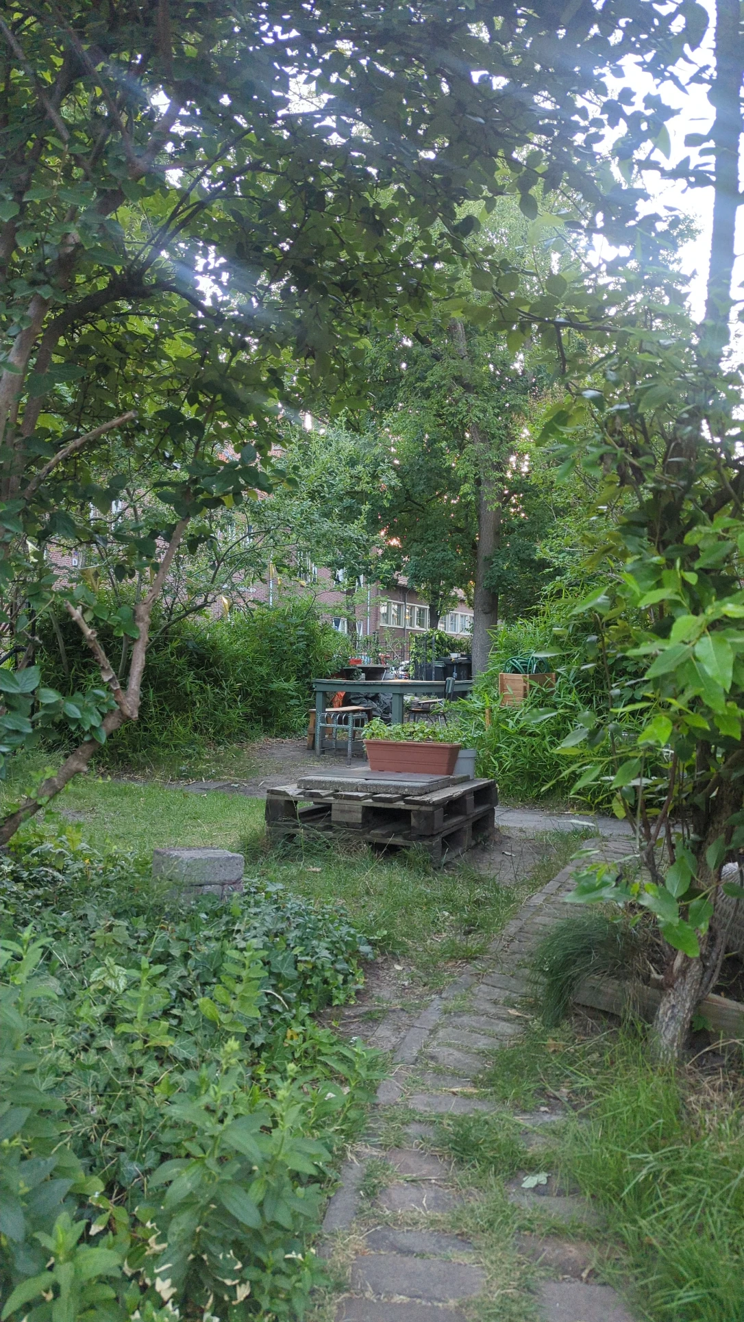 image-14