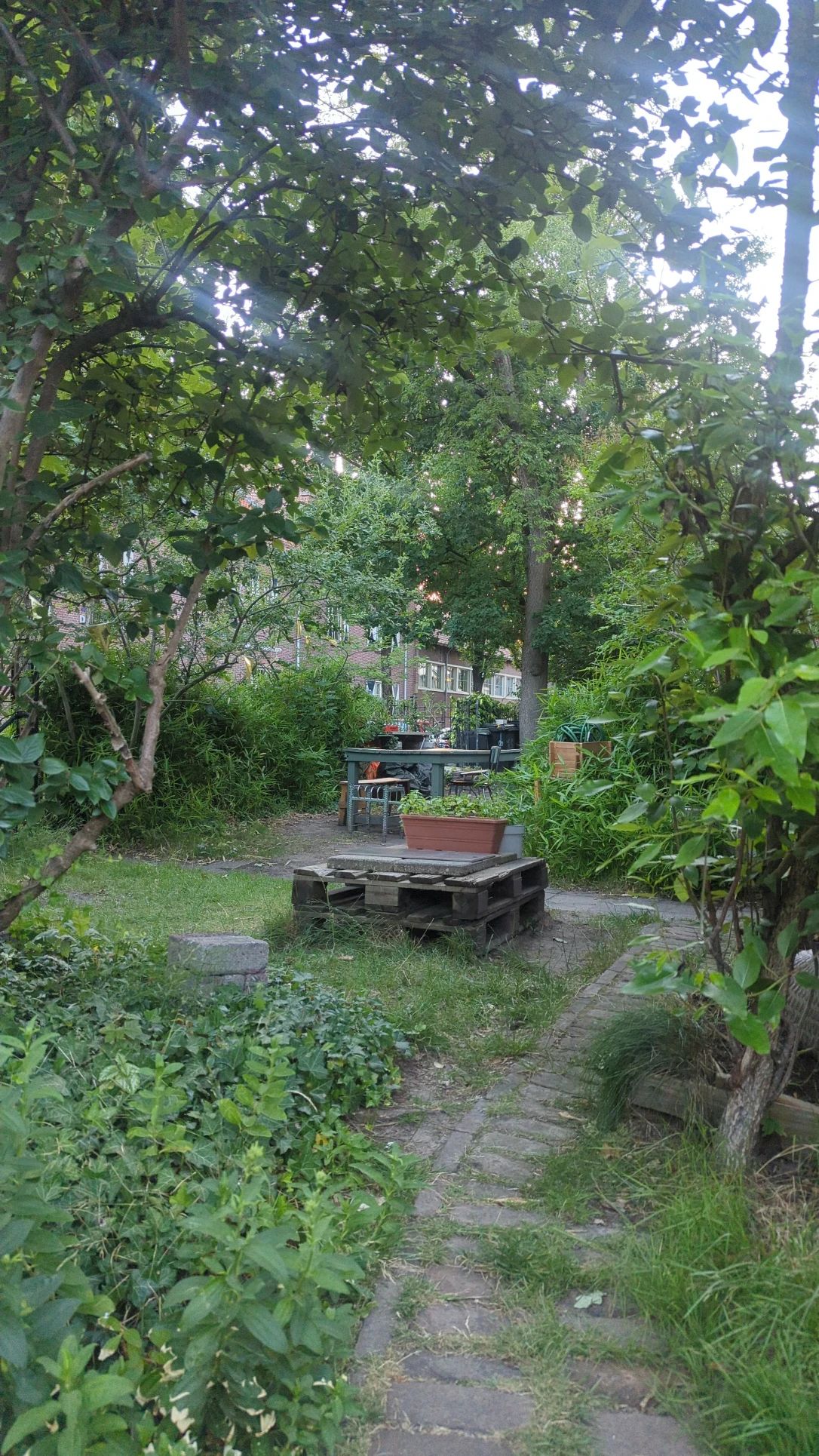 image-14