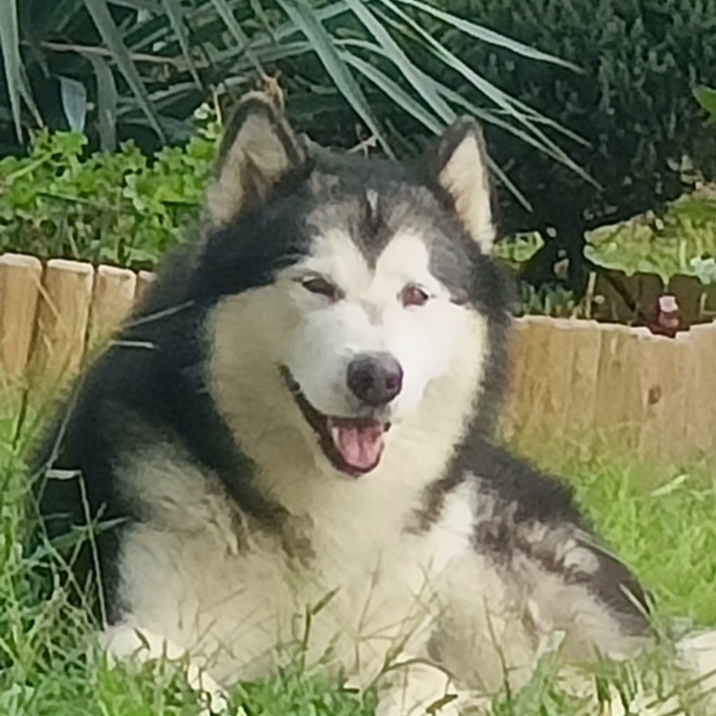Carlos