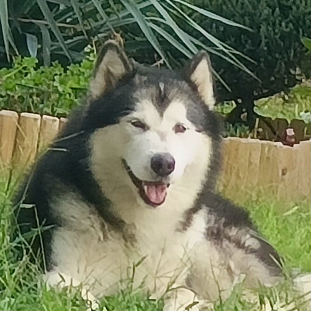 Carlos