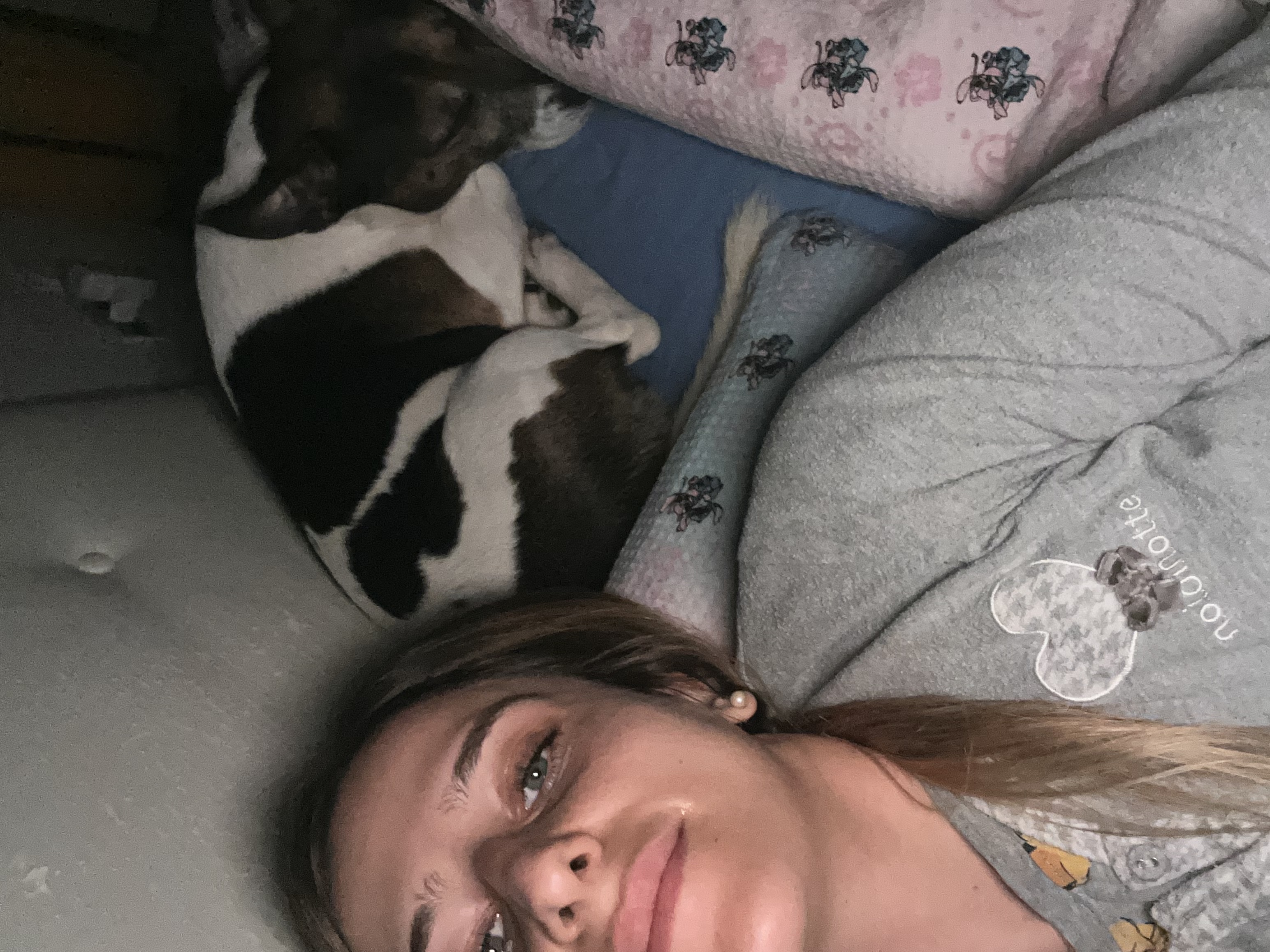 image-7