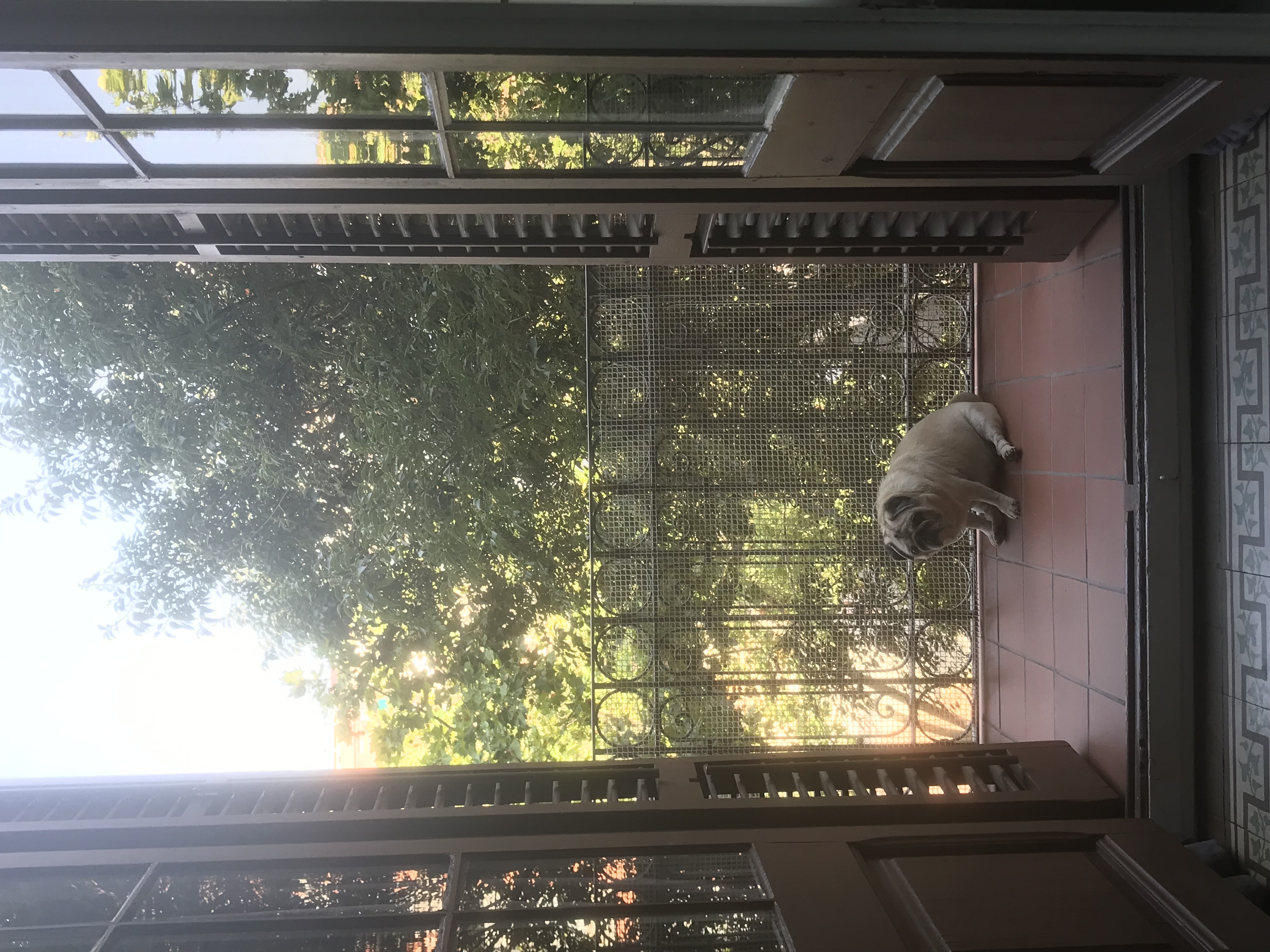 image-8