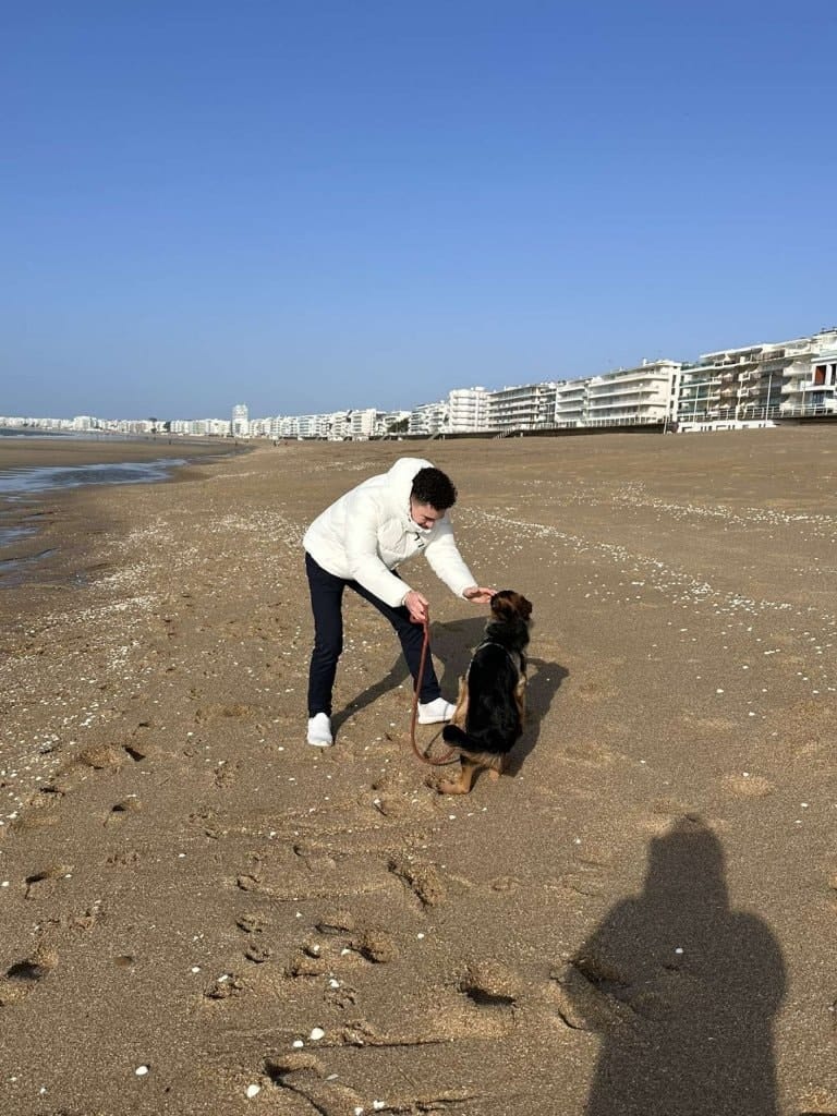 image-11