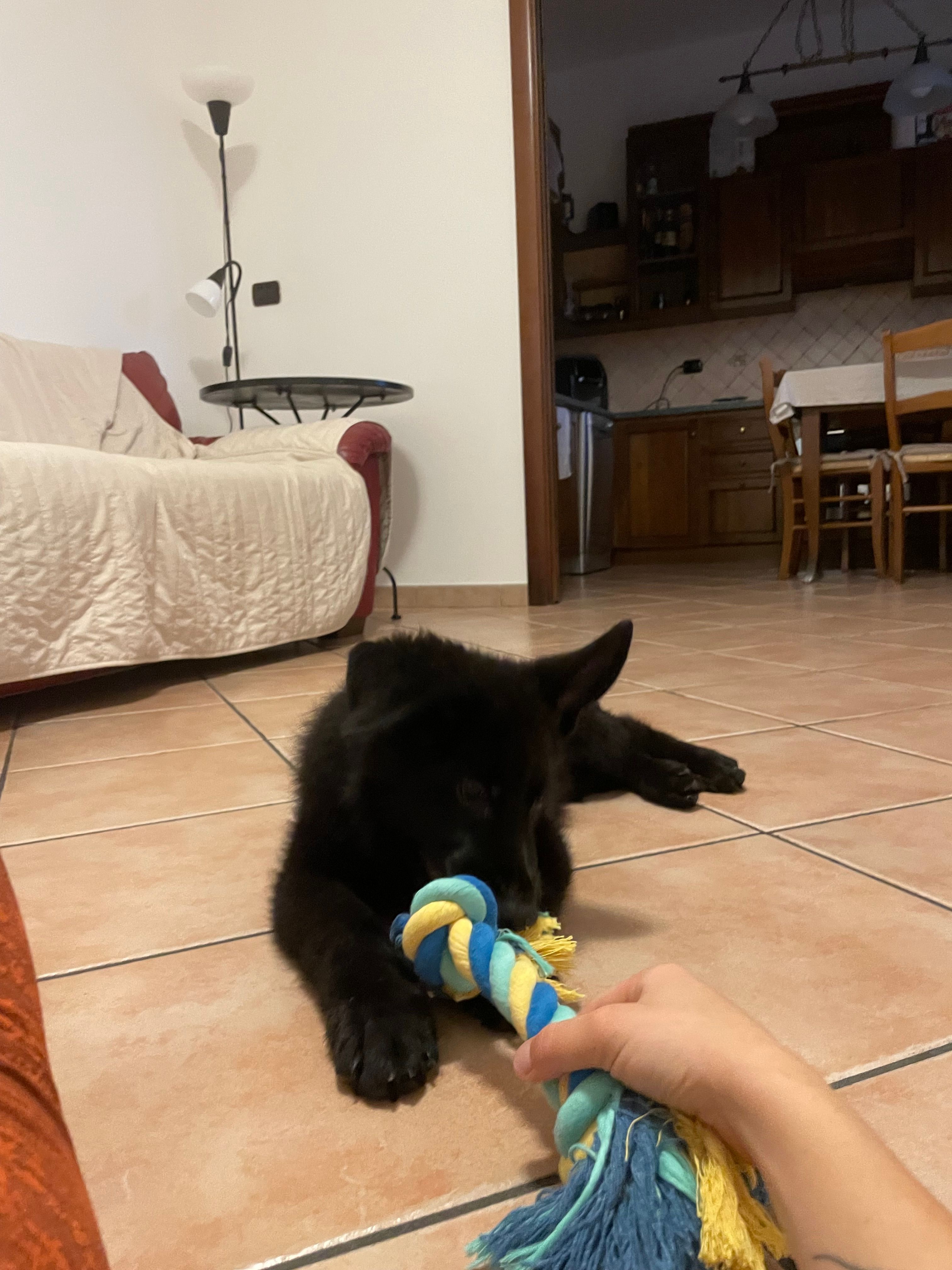 image-15