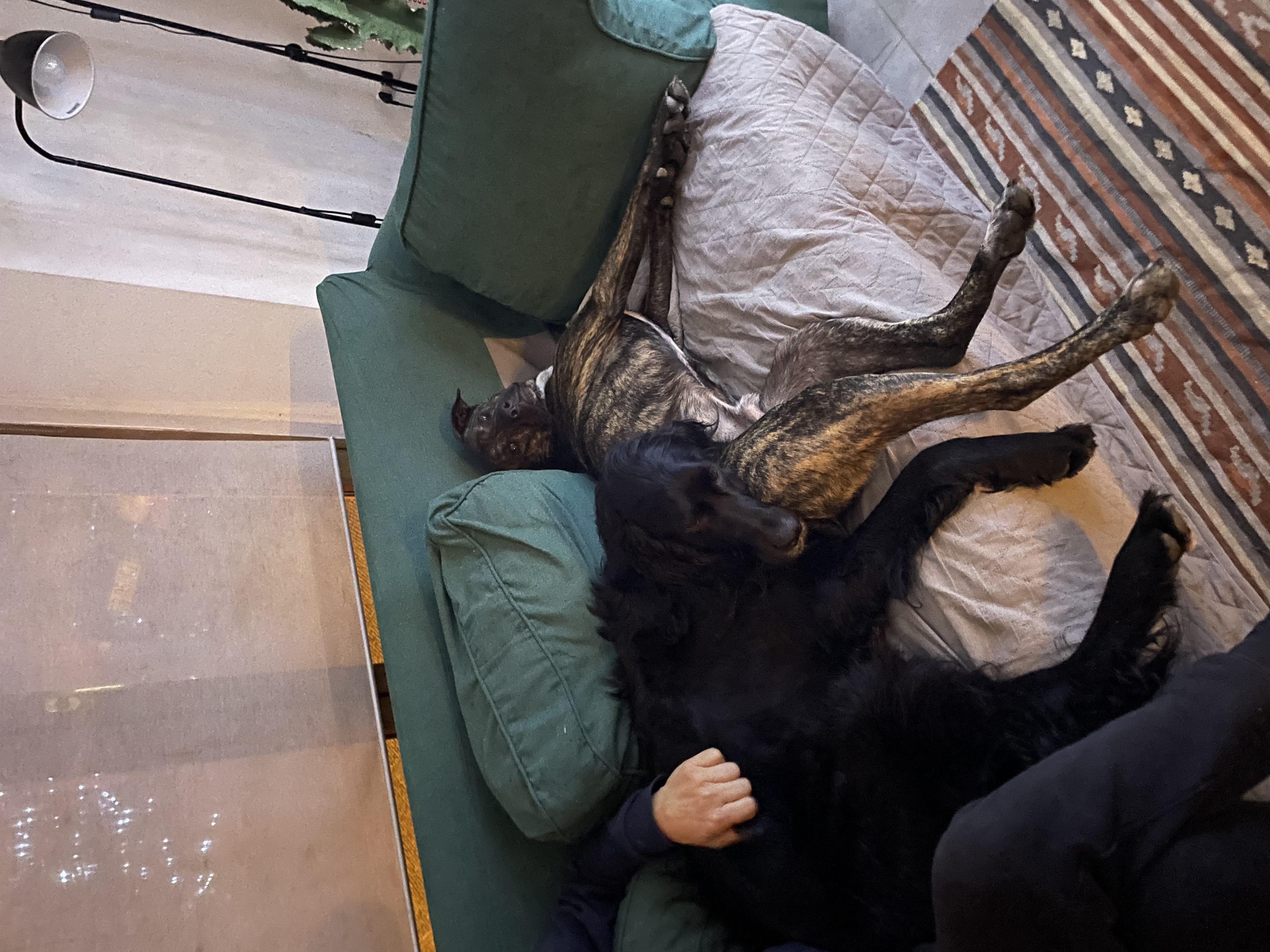 image-7