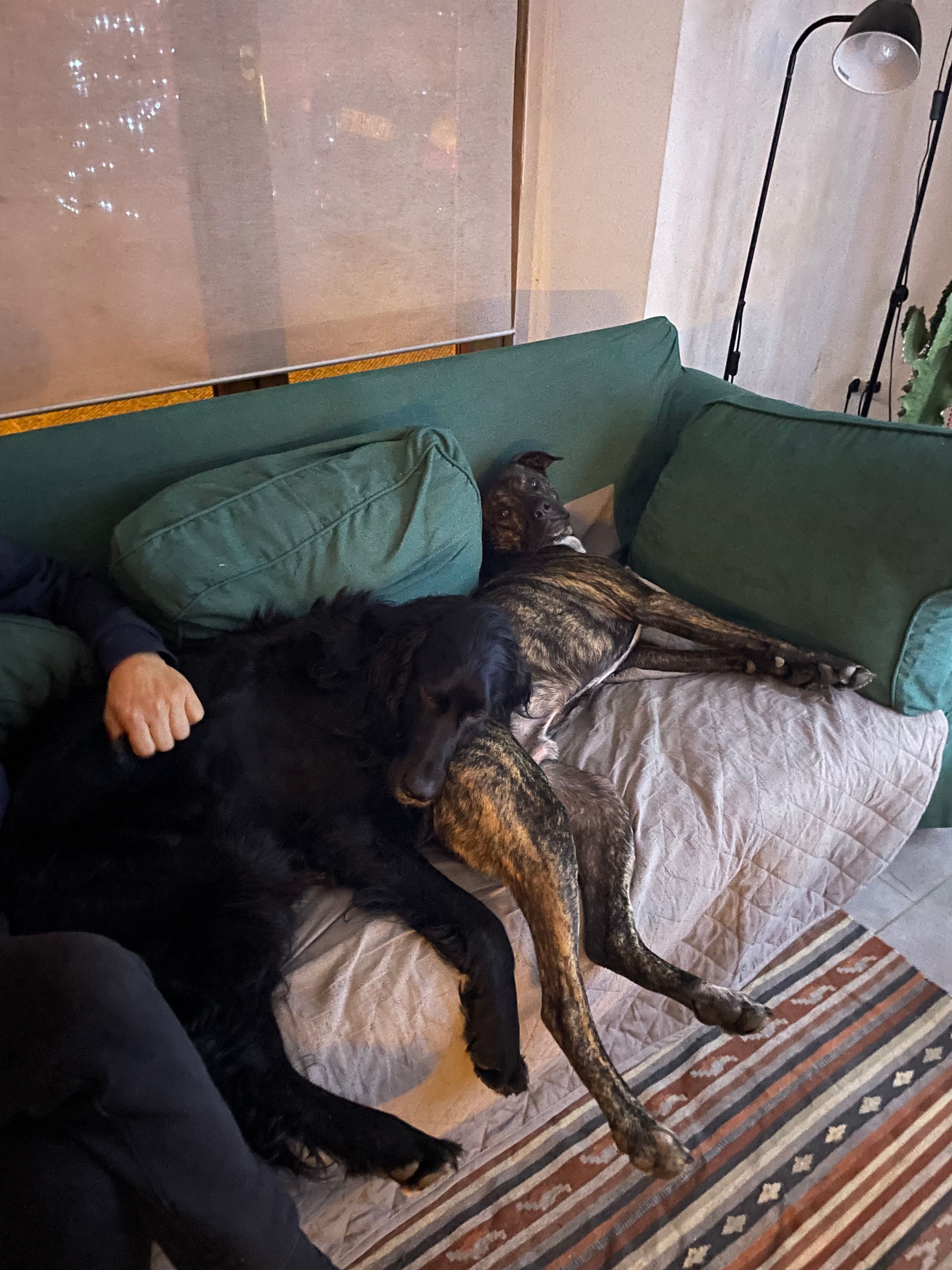 image-7