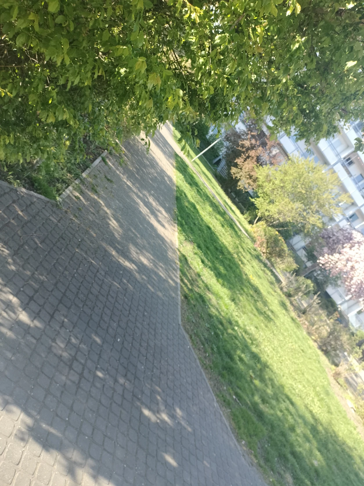 image-22