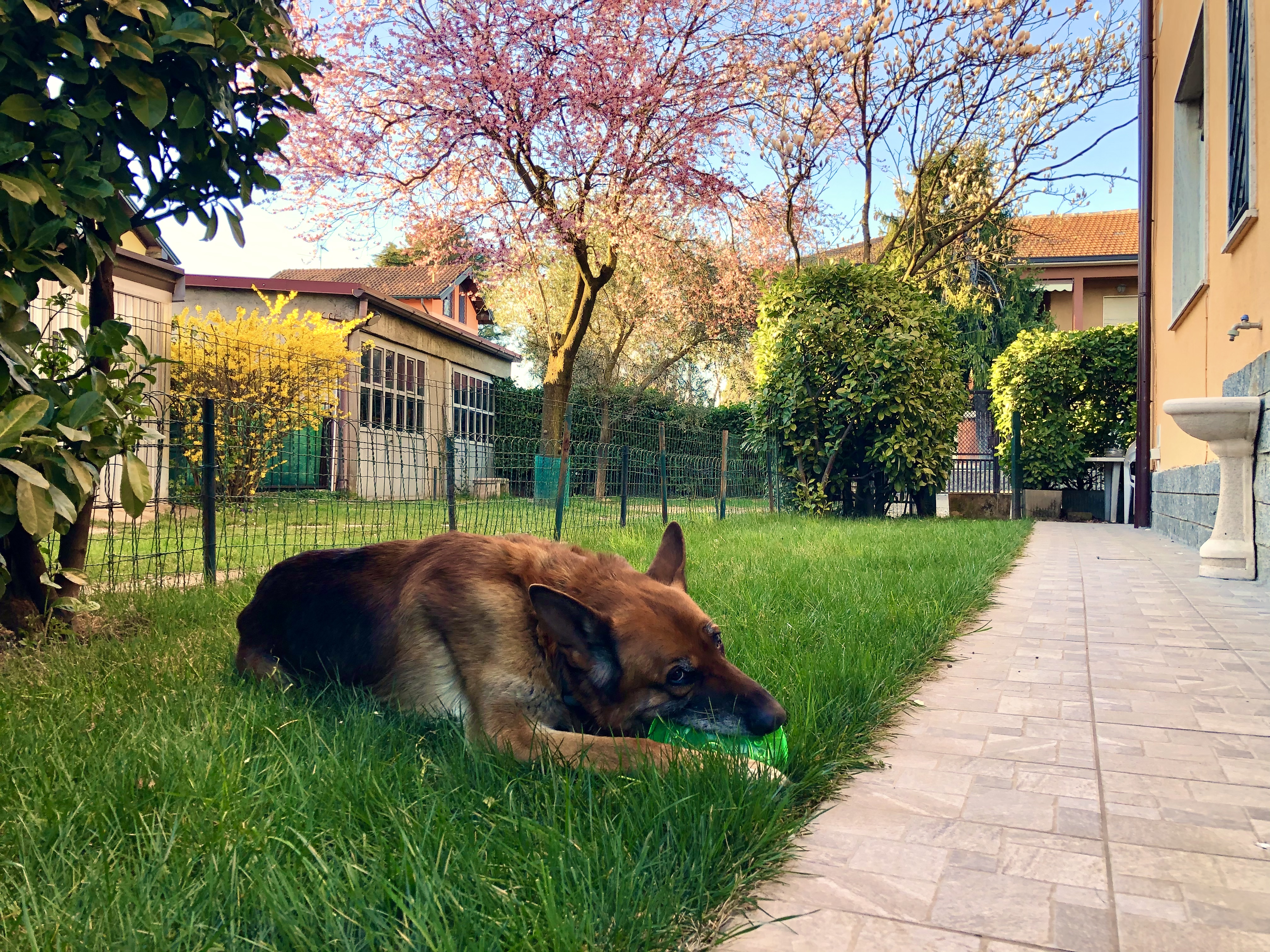 image-8