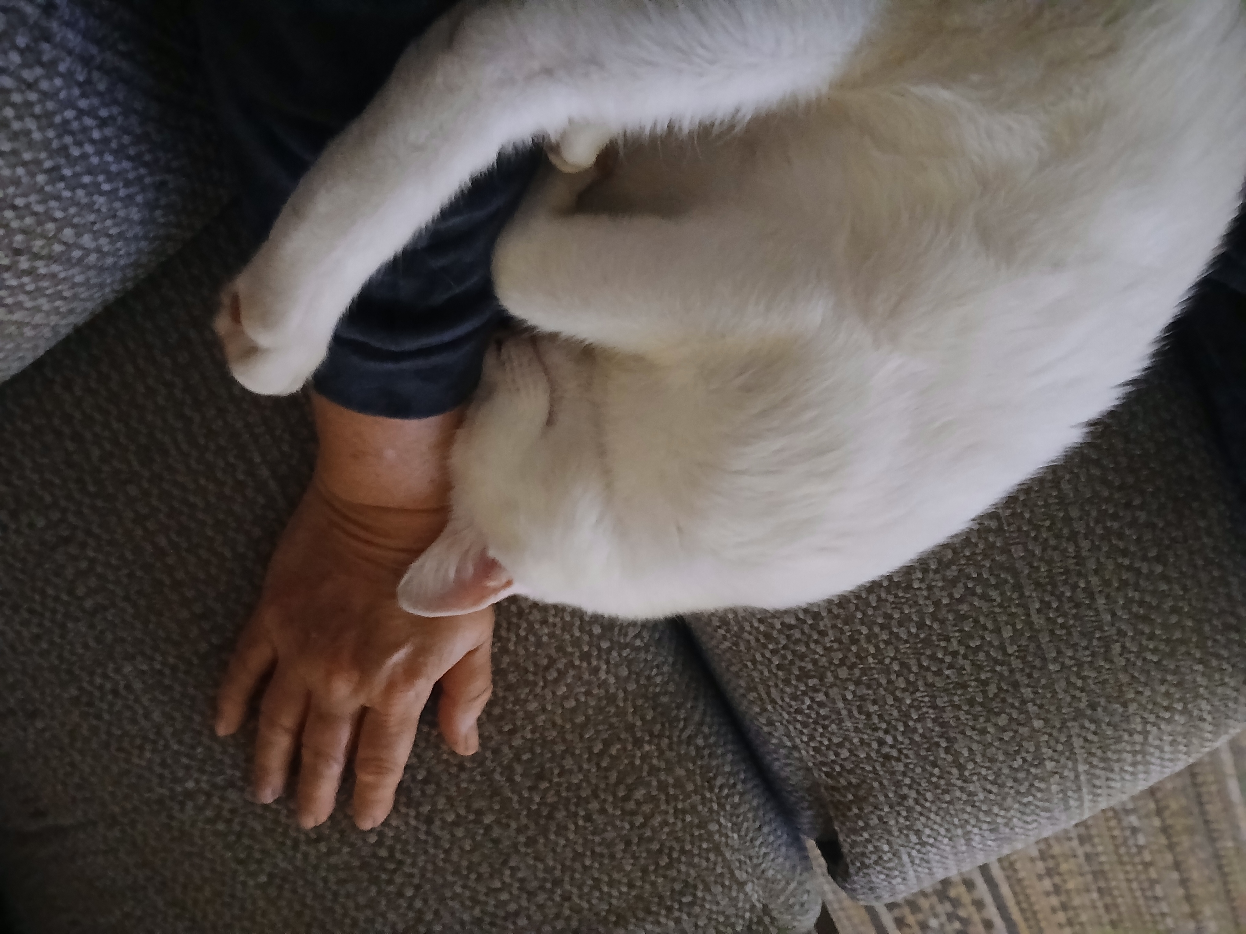 image-7