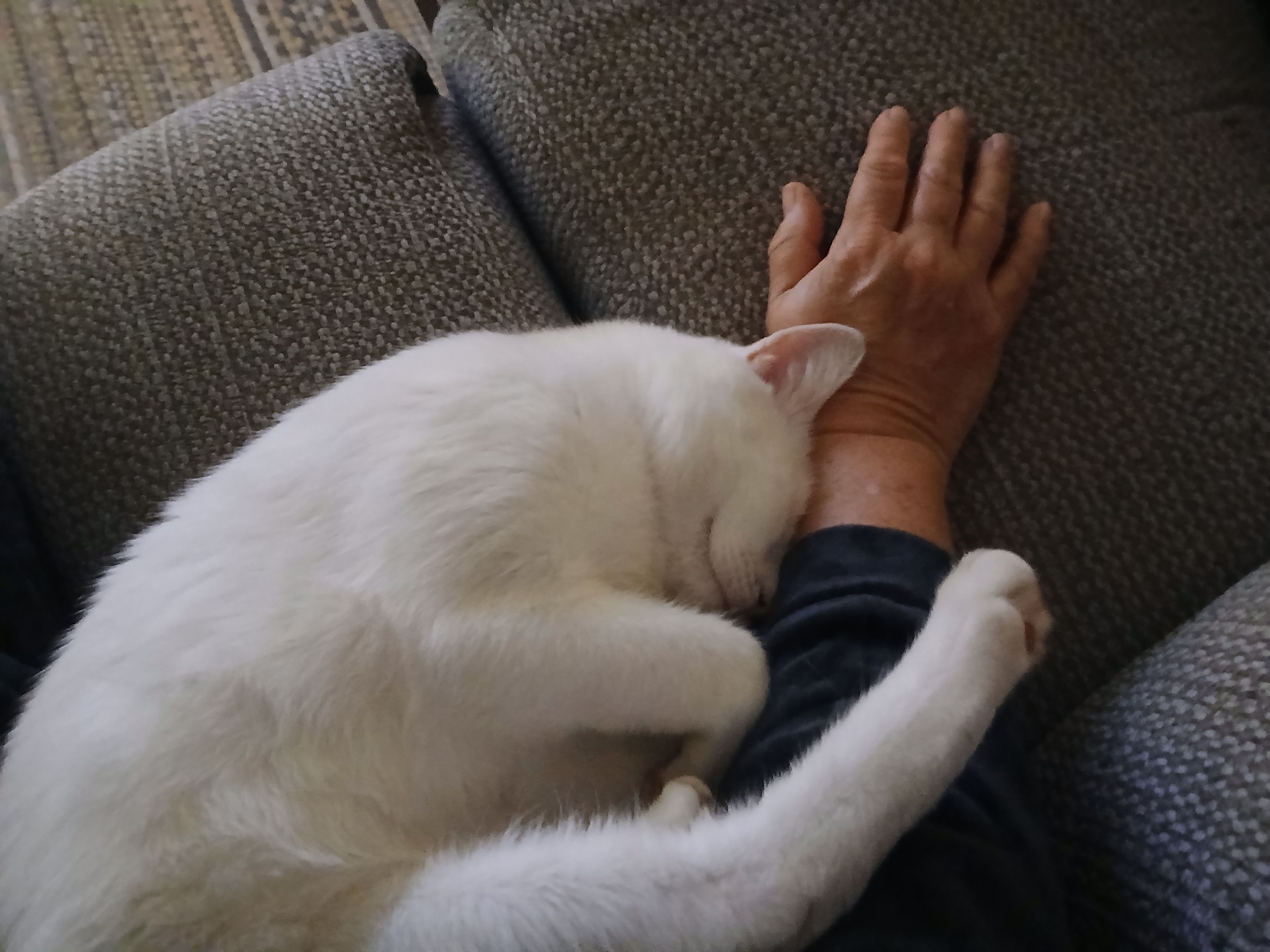 image-7