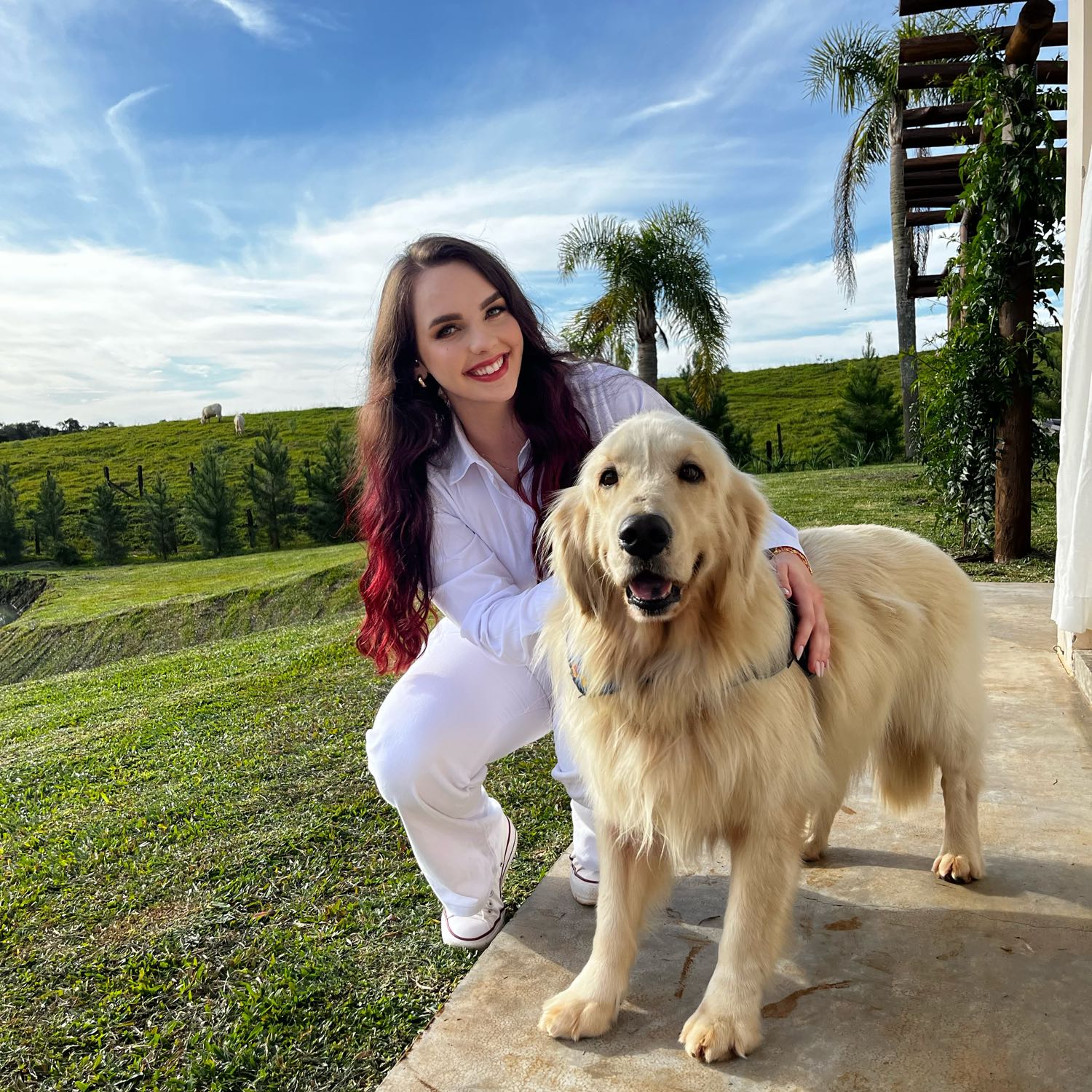 Aline