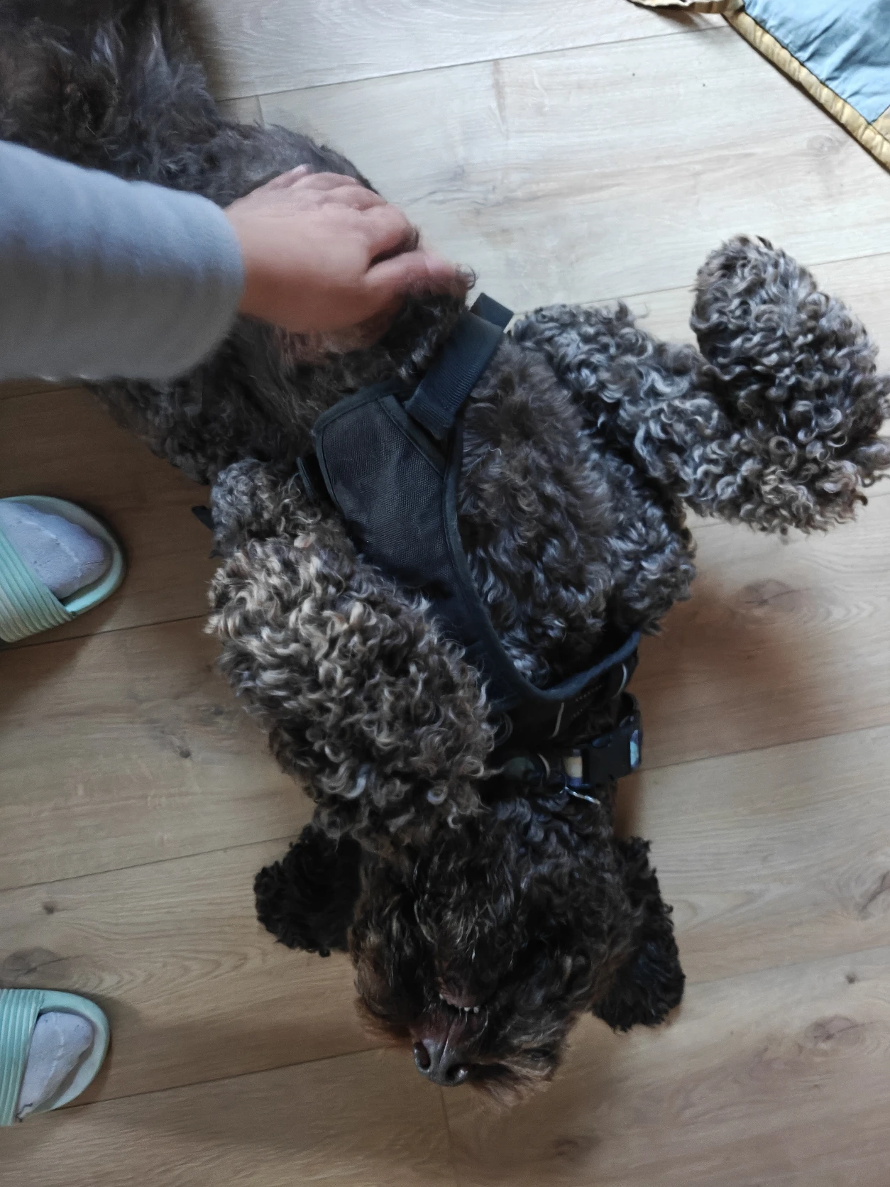 image-12