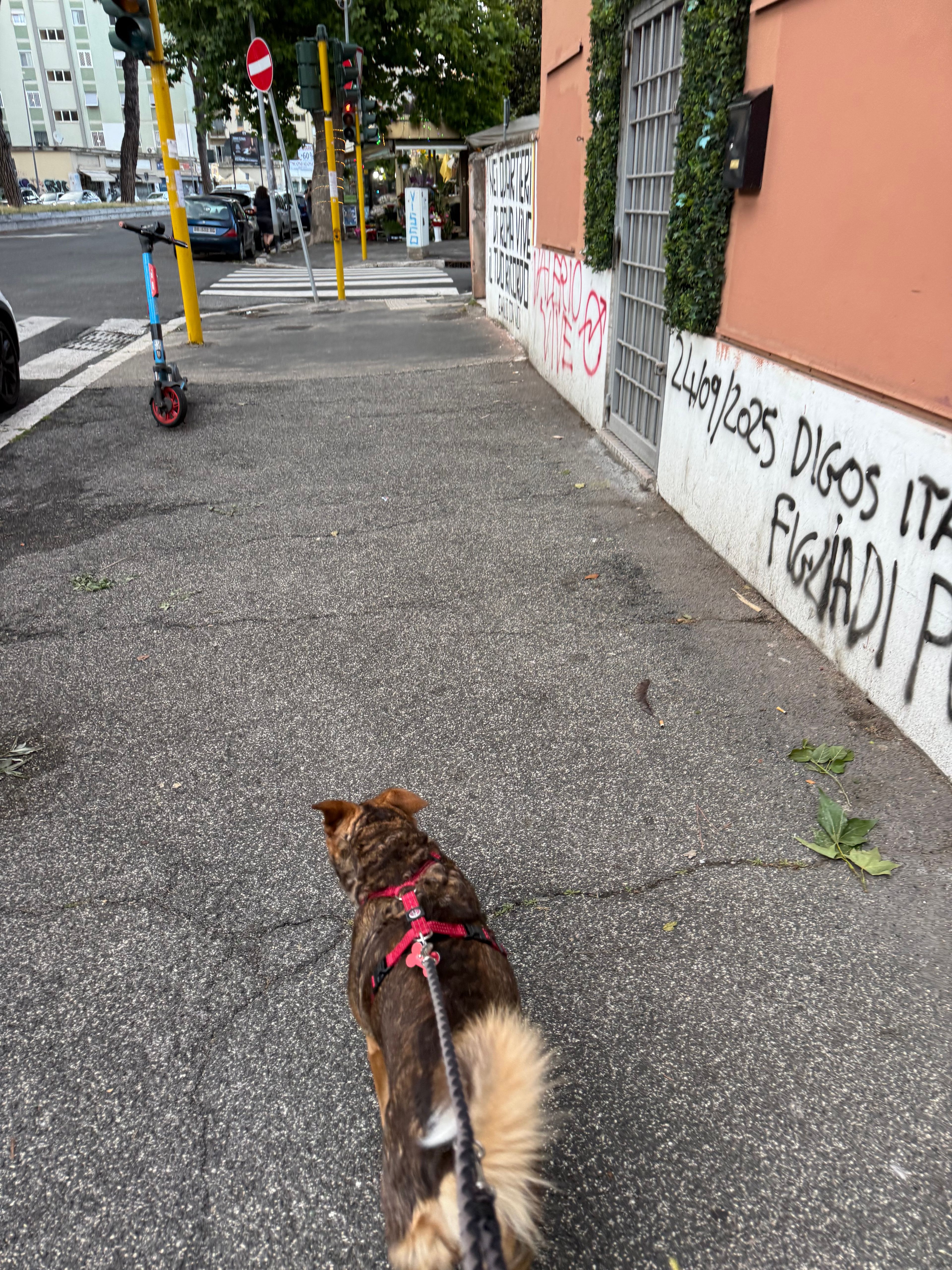 image-20