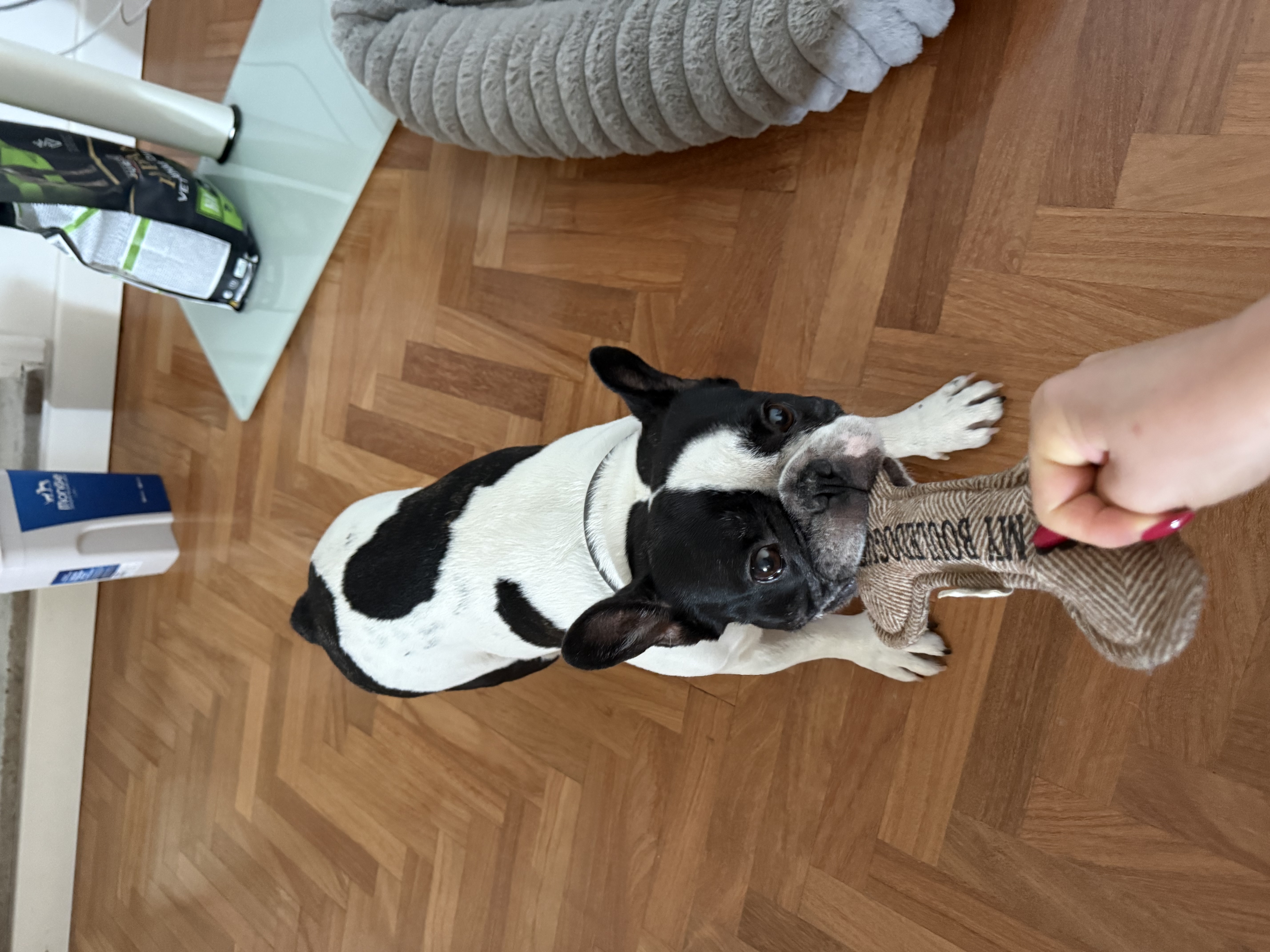 image-6