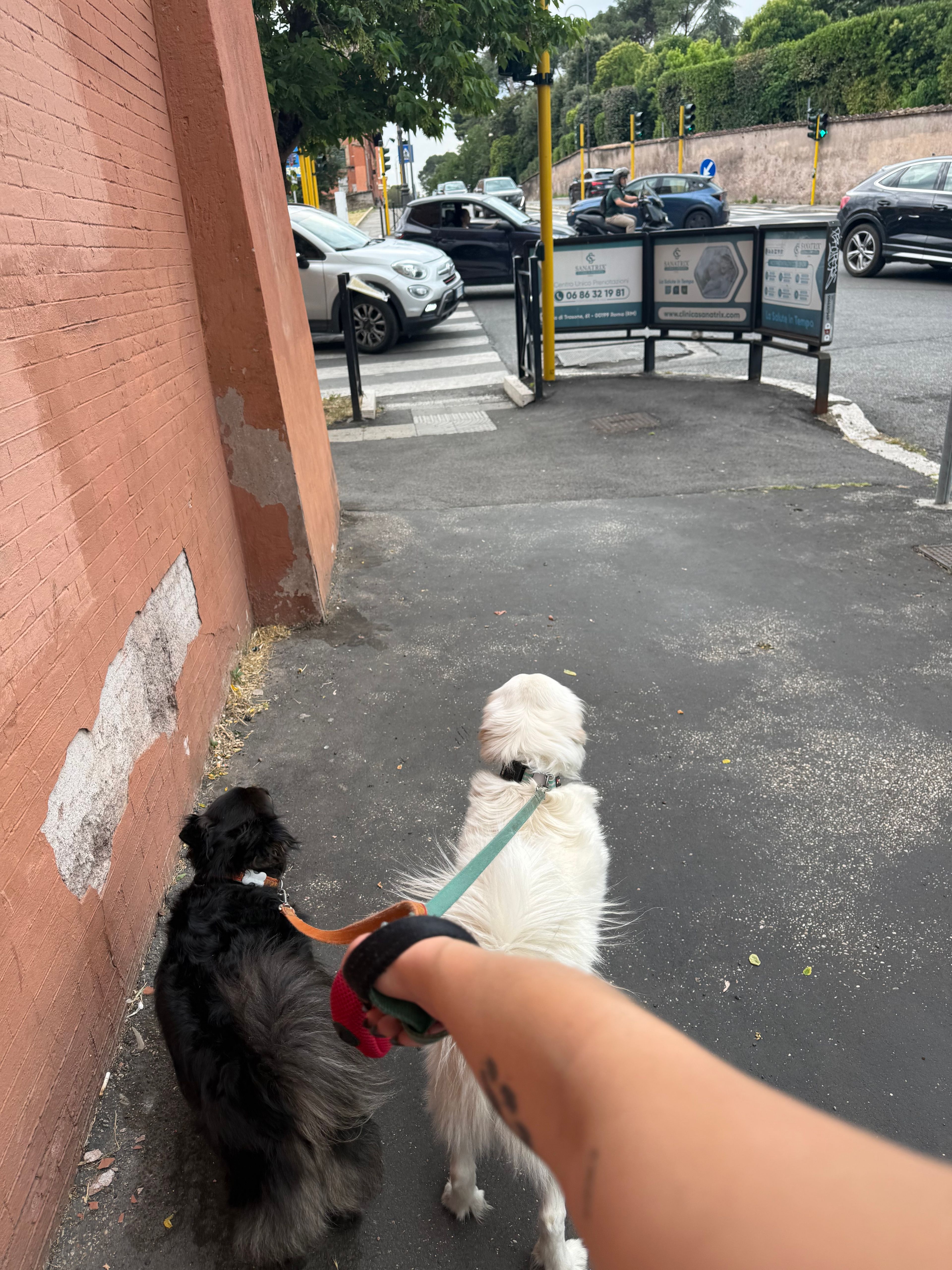 image-9