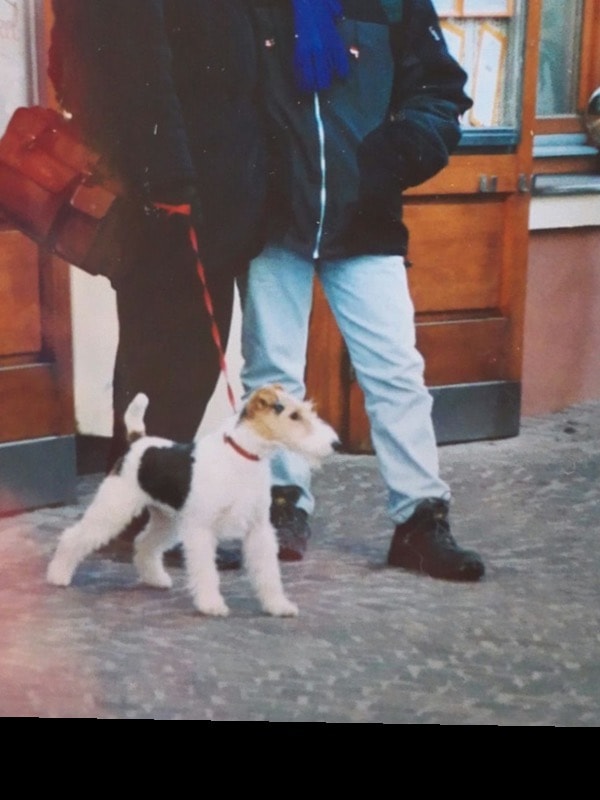image-2