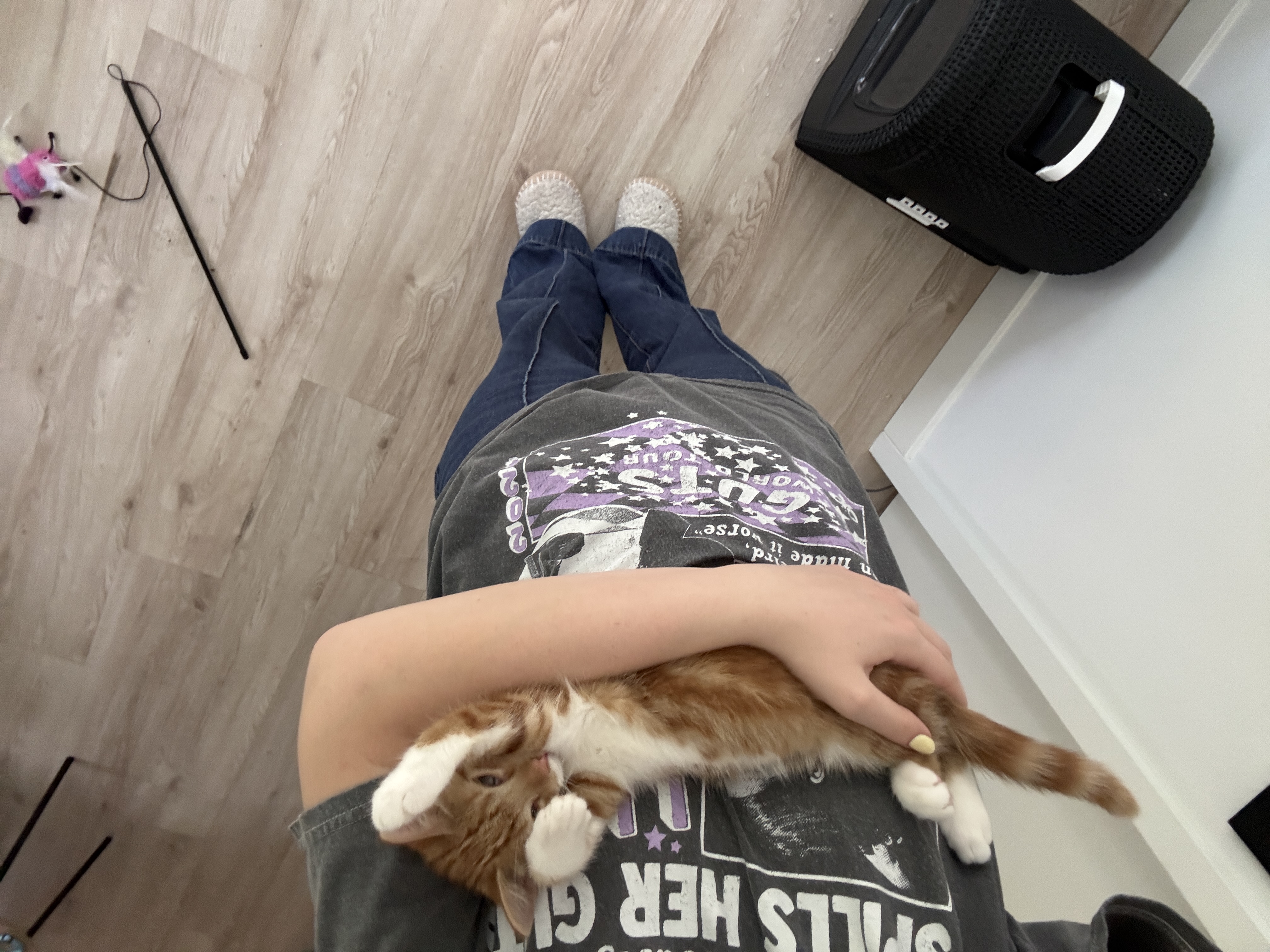 image-8